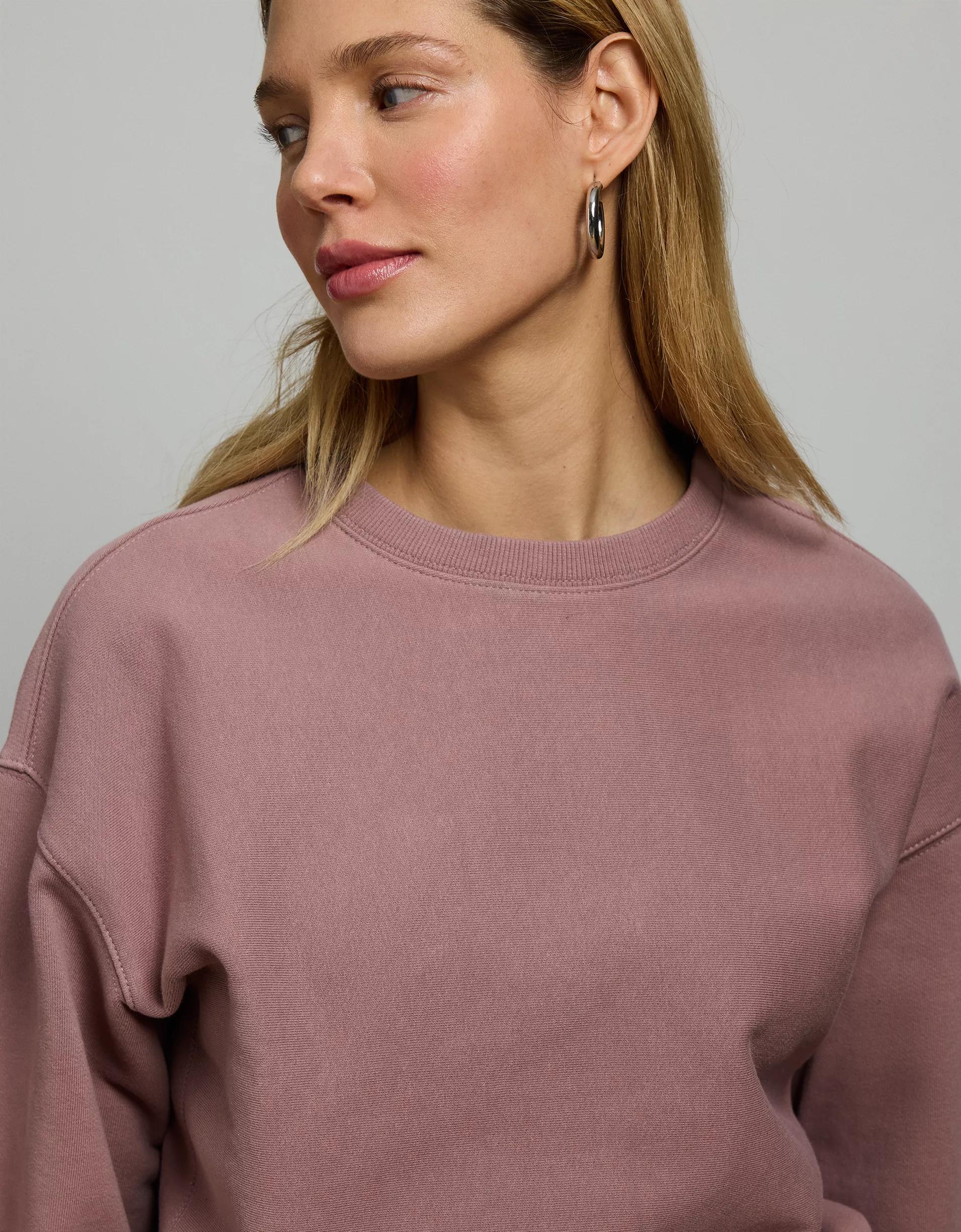 AE77 Premium Fleece Crew Neck Sweatshirt Product Image