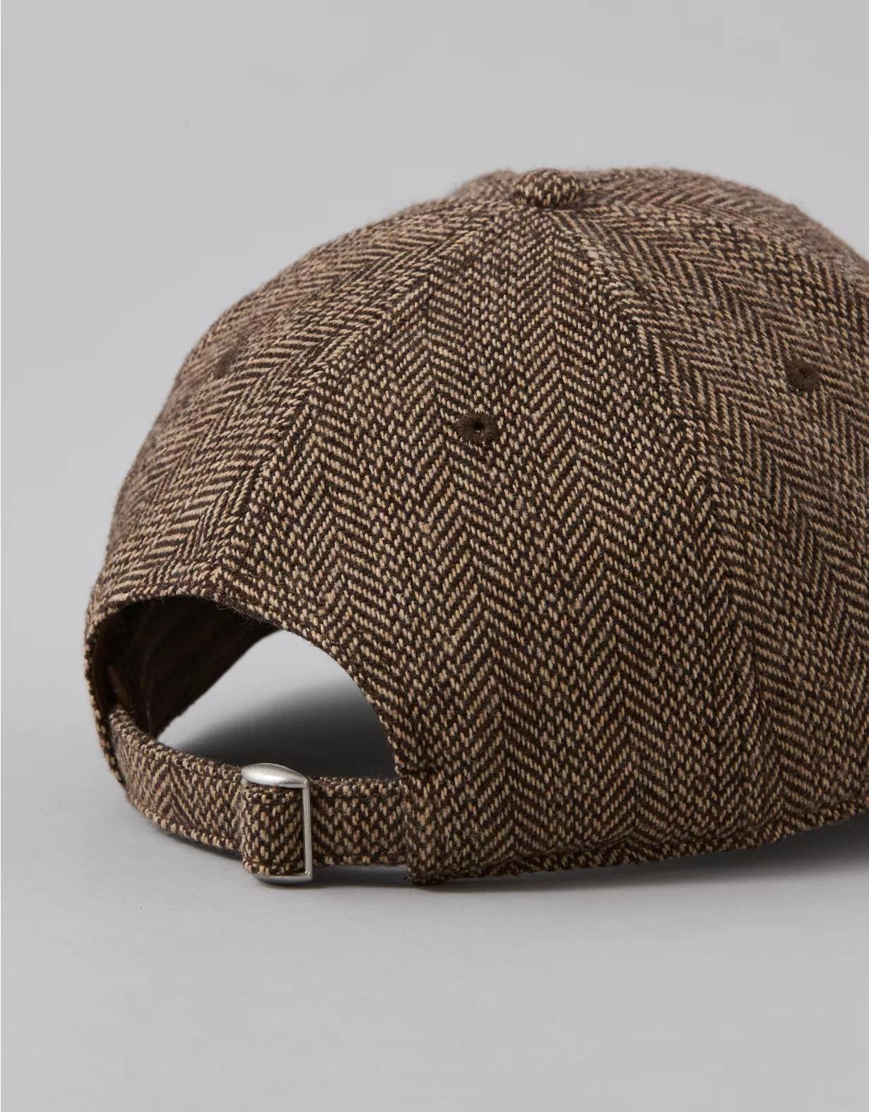 AE Wool-Blend Baseball Hat Product Image