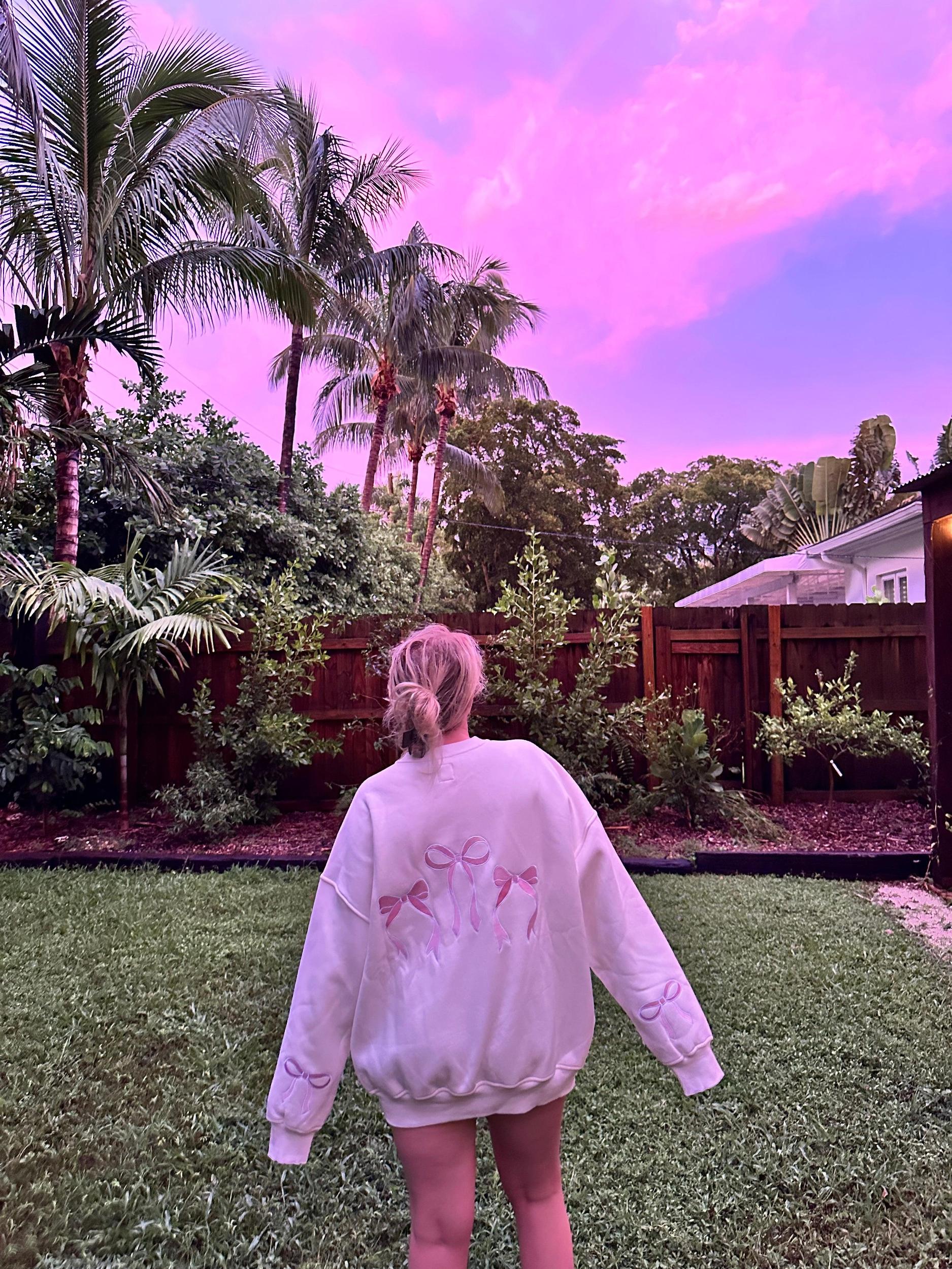 Pink Embroider Bow Sweatshirt Product Image