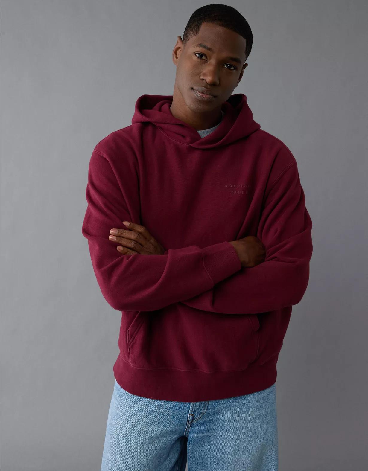 AE Laidback Luxe Heavyweight Graphic Hoodie Product Image