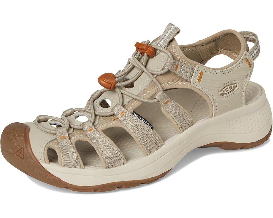 Newport H2 Product Image