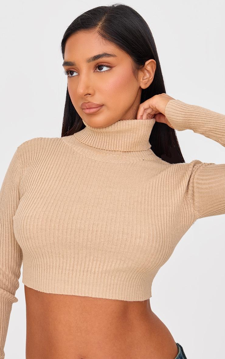 Petite Stone Basic Knit Roll Neck Sweater Product Image
