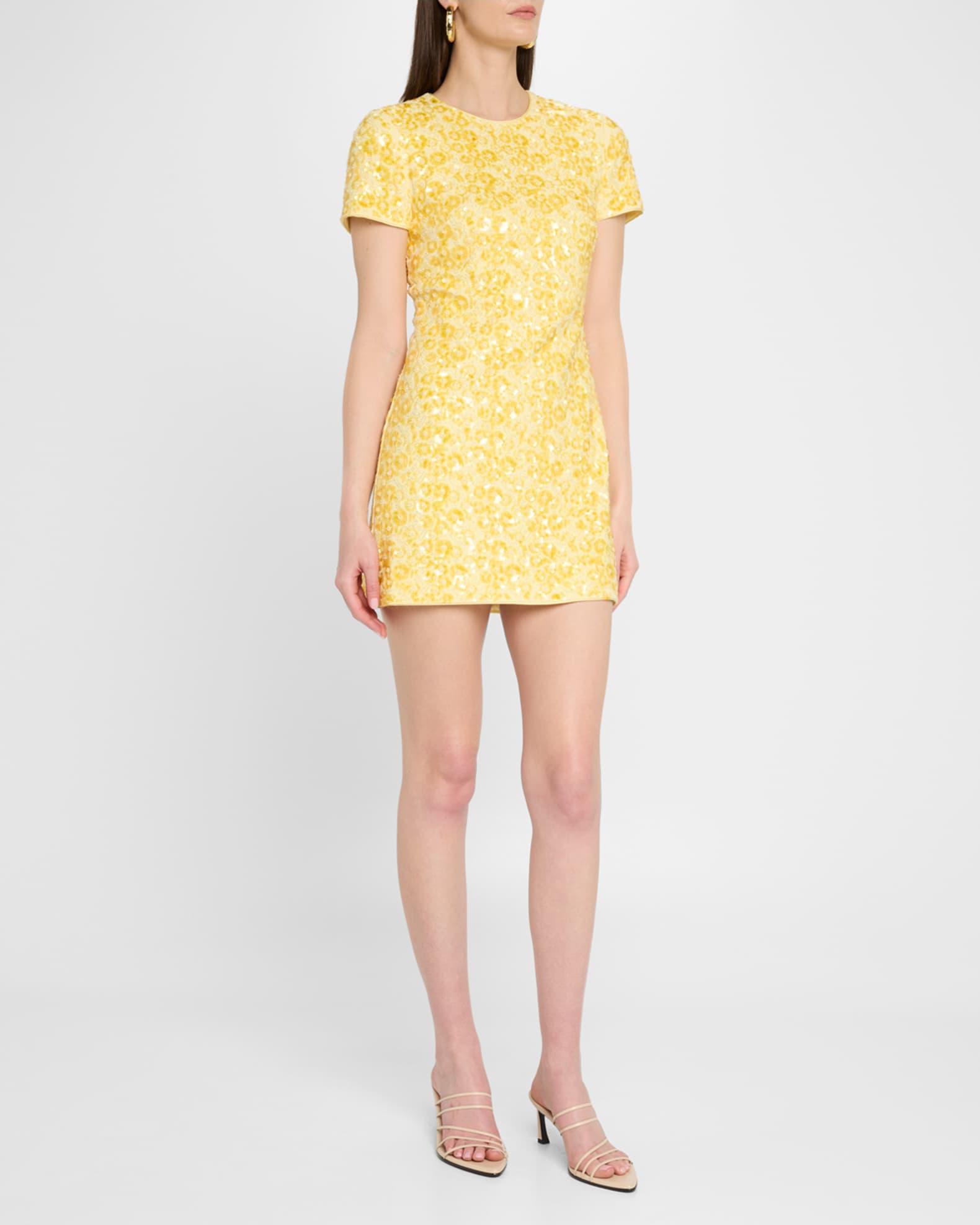 Clove Bead & Sequin Mini Dress Product Image