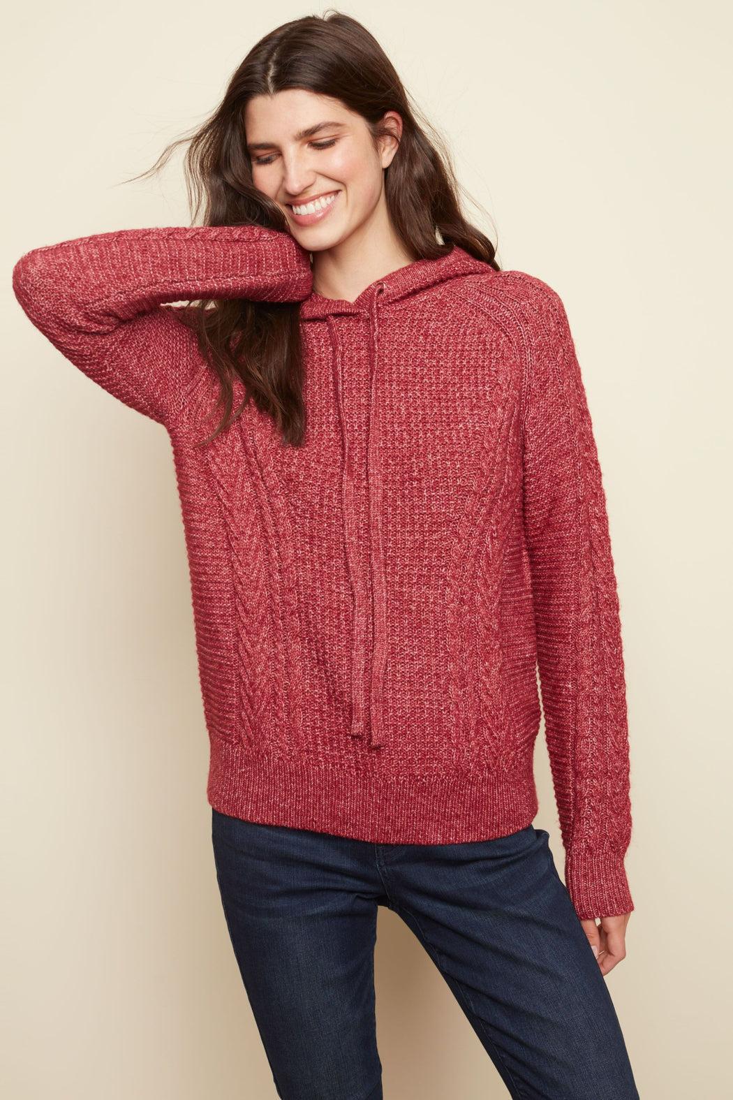 Hooded Raglan Sweater Product Image