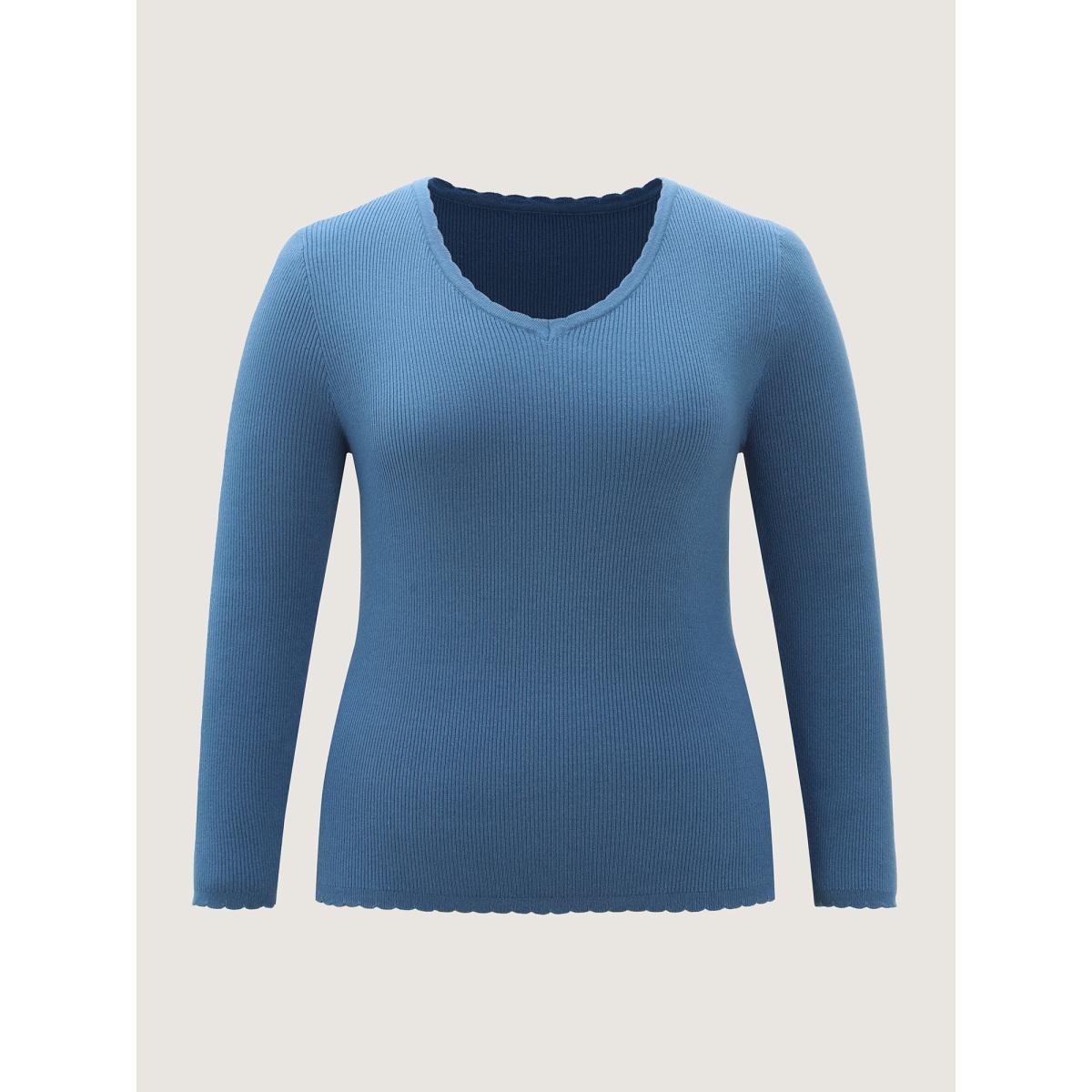 Plus Size Supersoft Textured Fitted Stretchy Pullover Skyblue Women Leisure Loose Long Sleeve V-neck Casual Pullovers BloomChic 14-16/1X Product Image