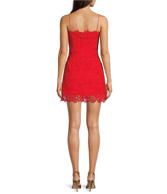Muse by Marchesa Begonia Lace Square Neck A-Line Dress Product Image