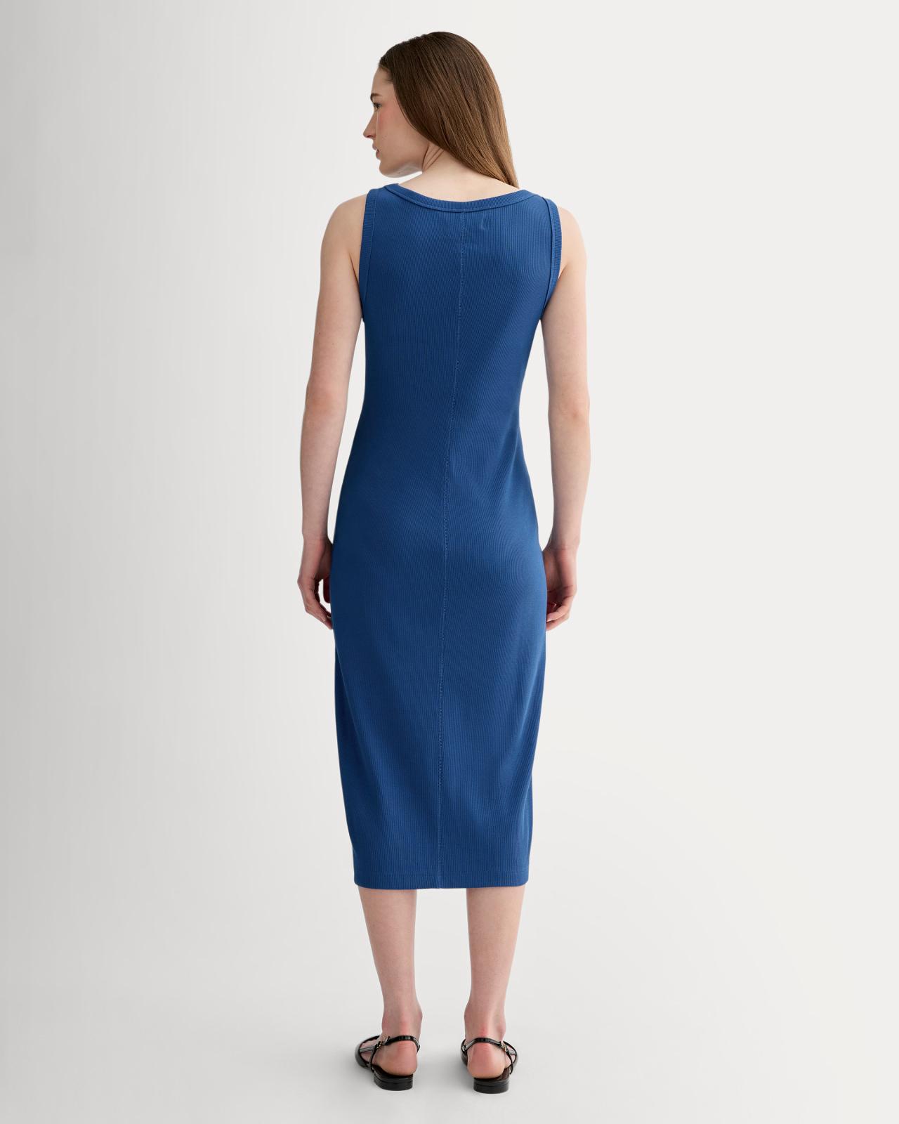 Womens Selfie Tank Dress by Everlane Product Image