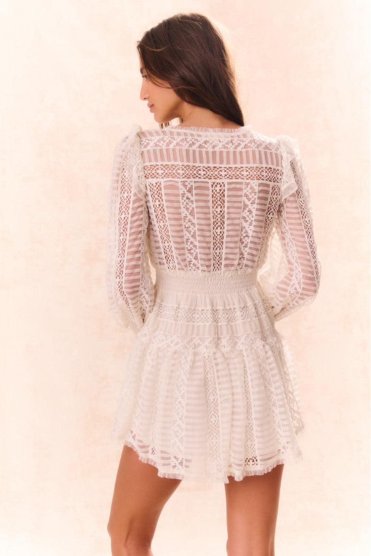Alonsa Lace-Detailed Mini Dress Product Image