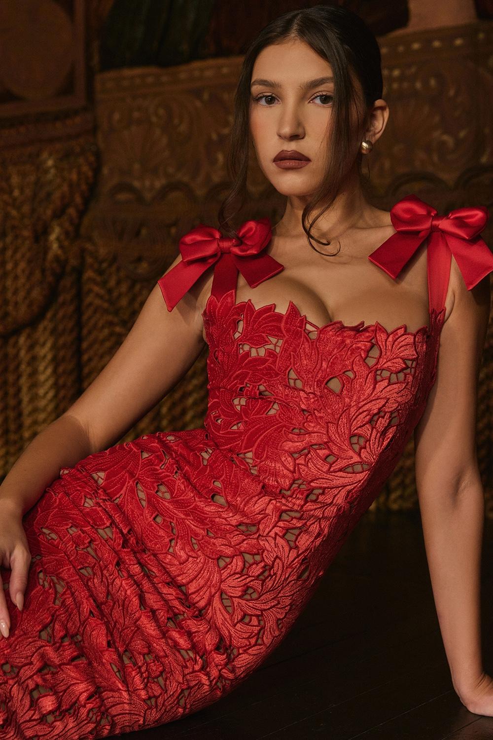 Tiff  holly red velvet lace maxi dress Product Image