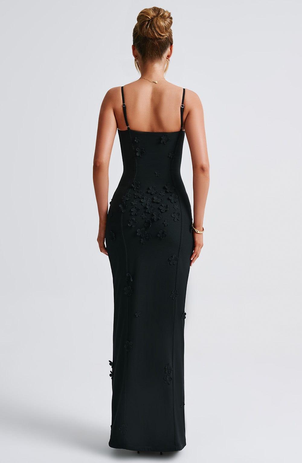 Dalary Maxi Dress - Black Lined Product Image