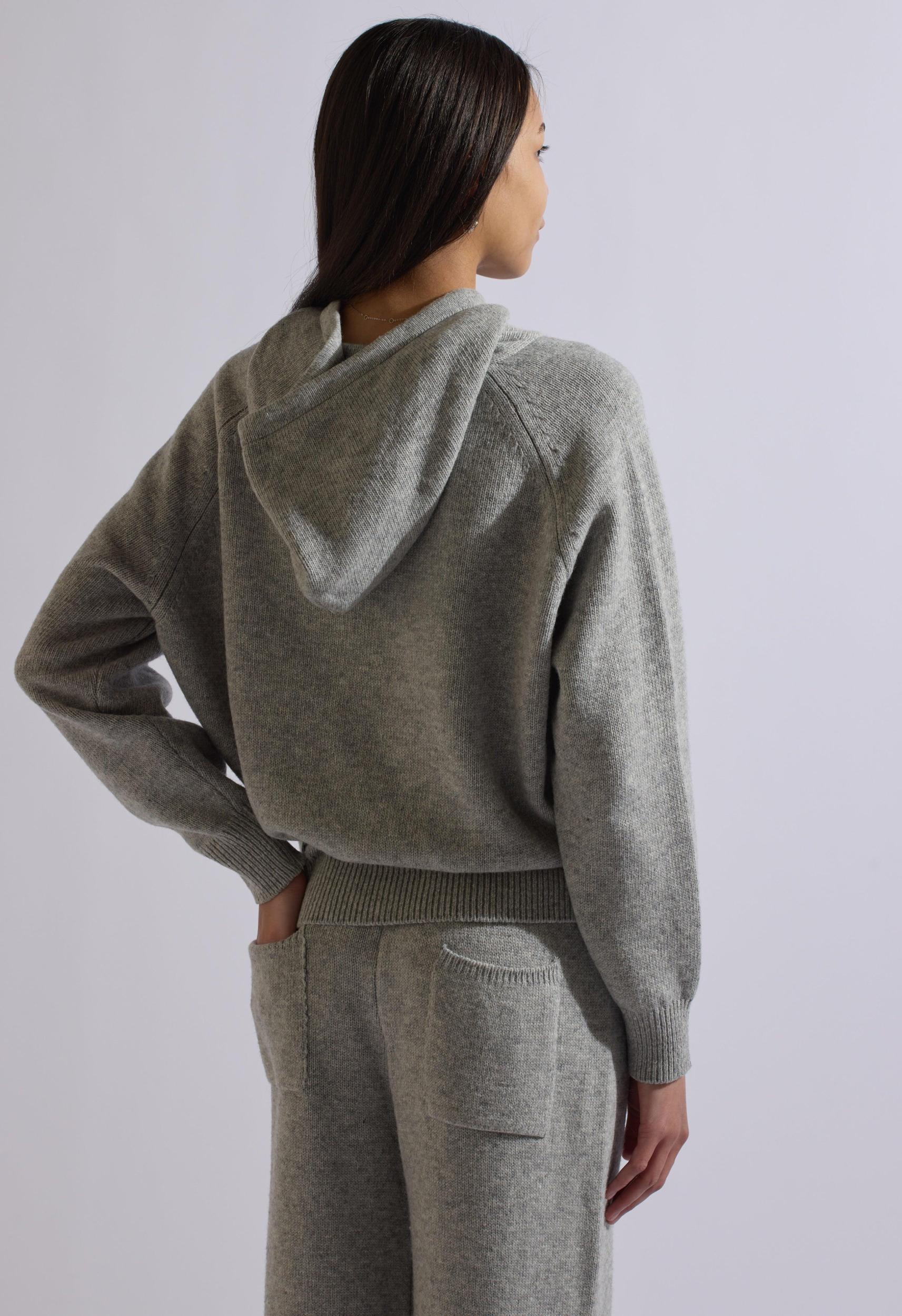 Fox Gray Wool Set Hoodie Product Image