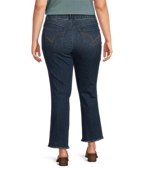 Democracy Plus Size #double;Ab#double;solution Embroidered Straight Slim Leg Jeans Product Image