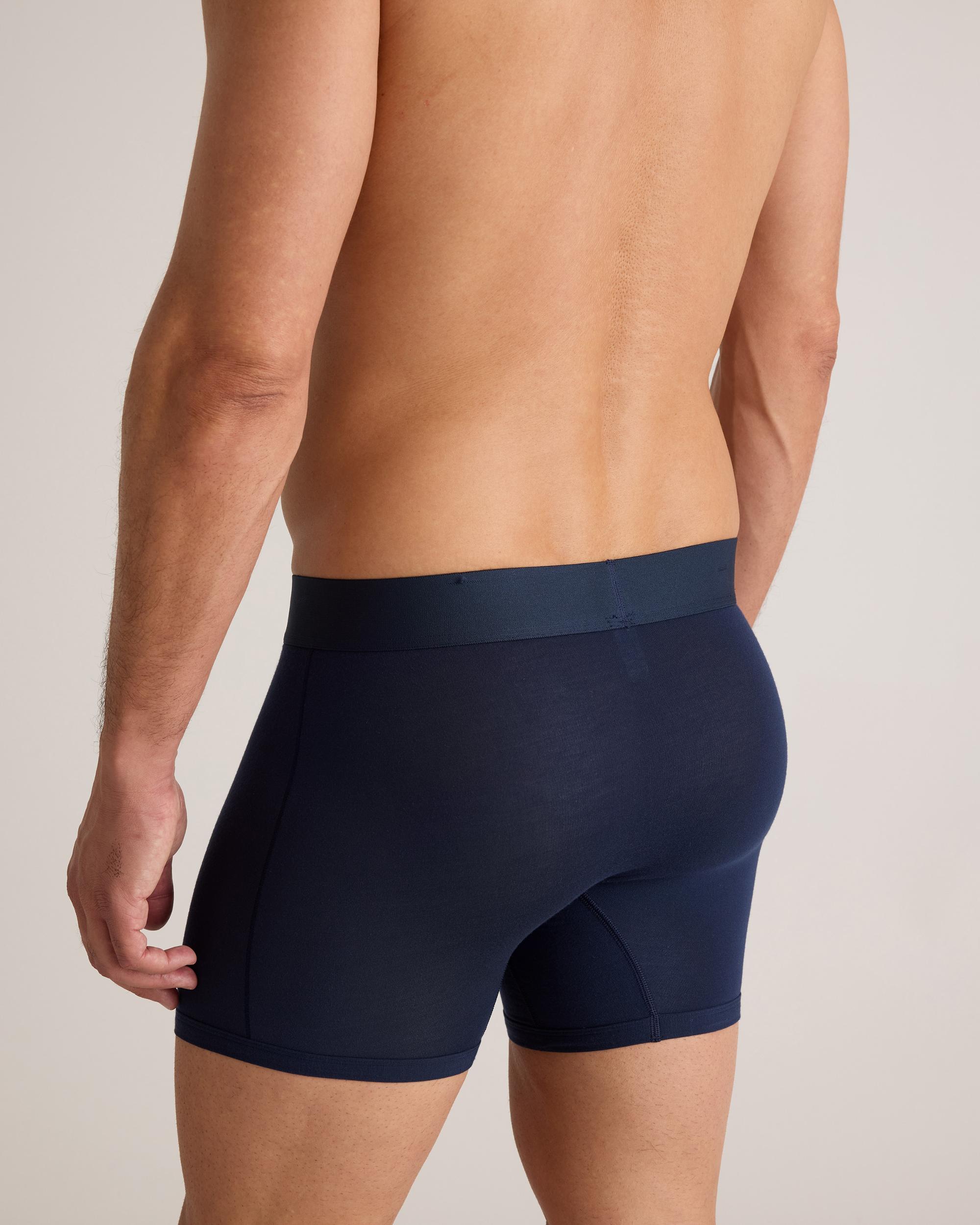 Quince | Men's Micromodal 4" Trunk Product Image