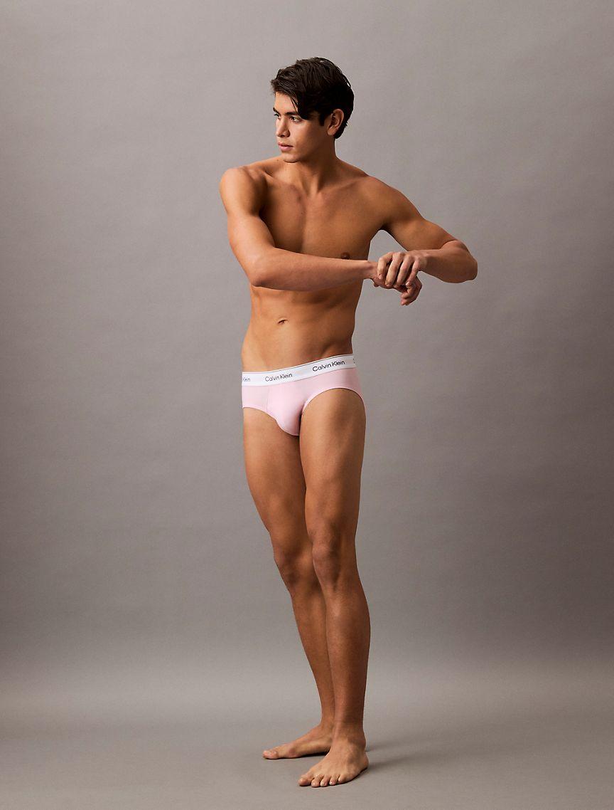 Icon Cotton Stretch 5-Pack Hip Brief Product Image