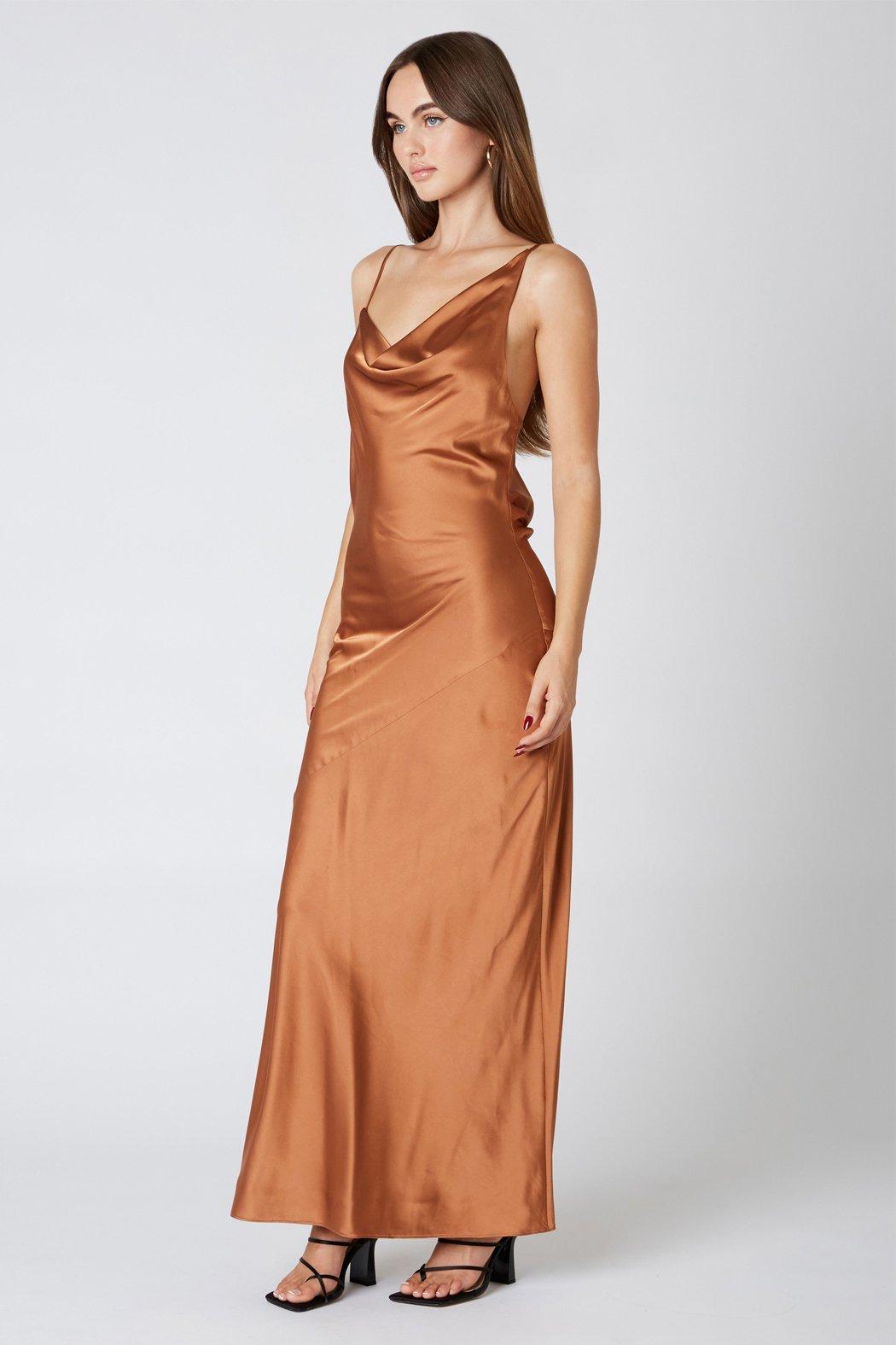 Acorn Maxi Dress Product Image