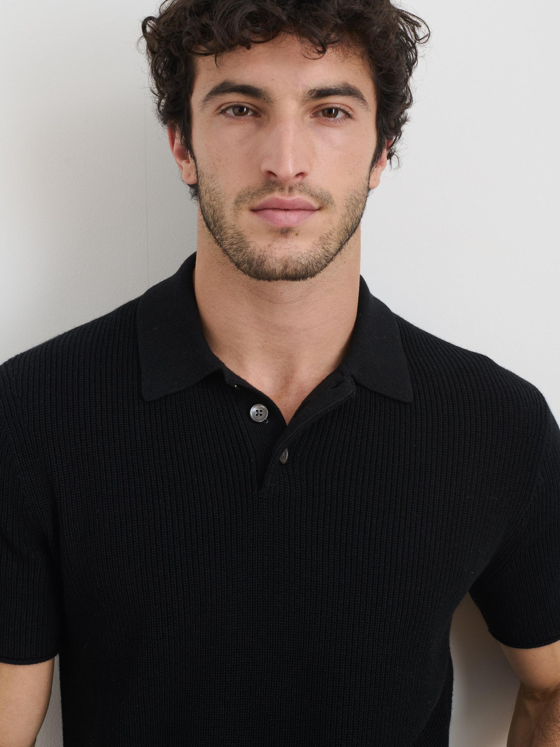 Eastwood Polo in Cotton Linen Product Image