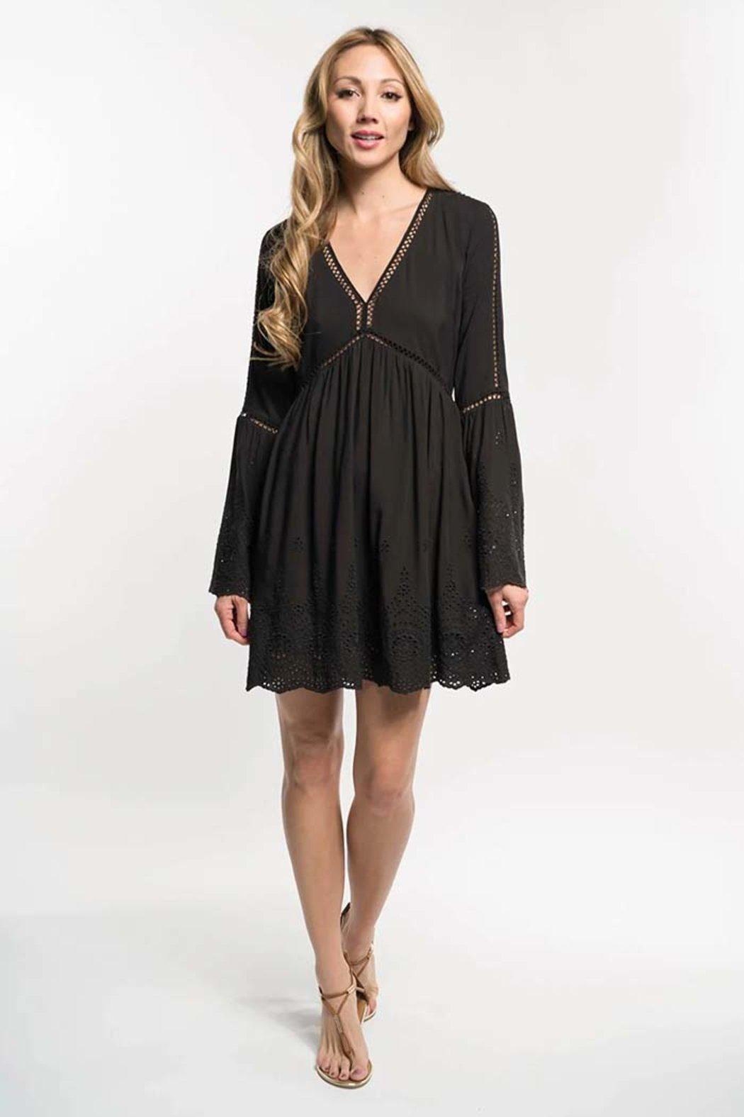 Embroidered Eyelet Plunge Dress Product Image