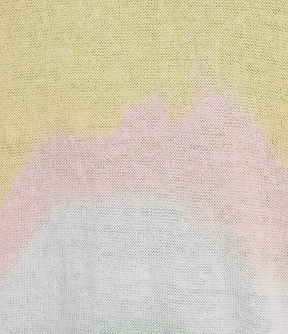 Charlie B. Knit Printed V-Neck Long Sleeve Tie Dye Sweater Product Image