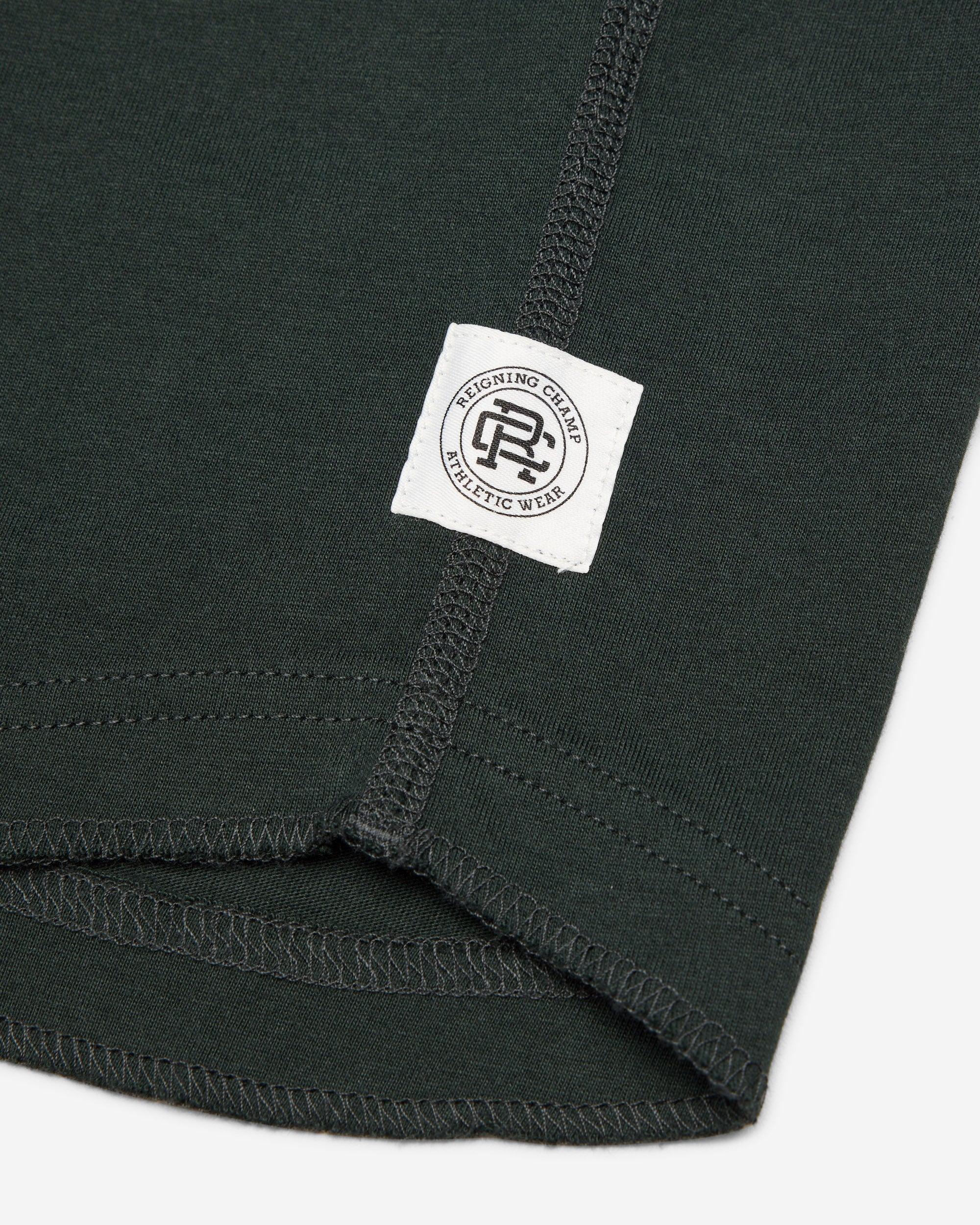 Lightweight Jersey Raglan Standard T-Shirt Male Product Image