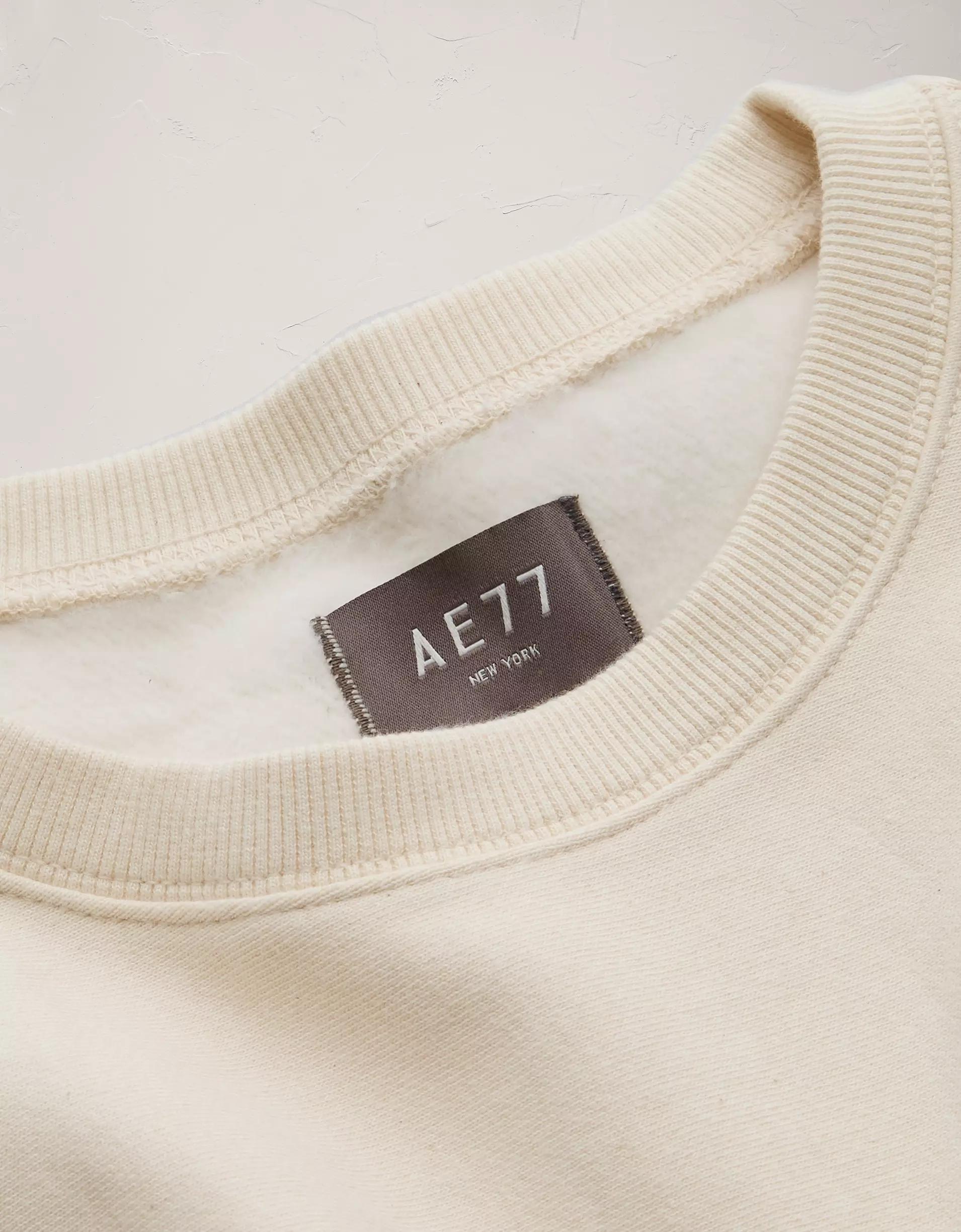 AE77 Premium Fleece Crew Neck Sweatshirt Product Image