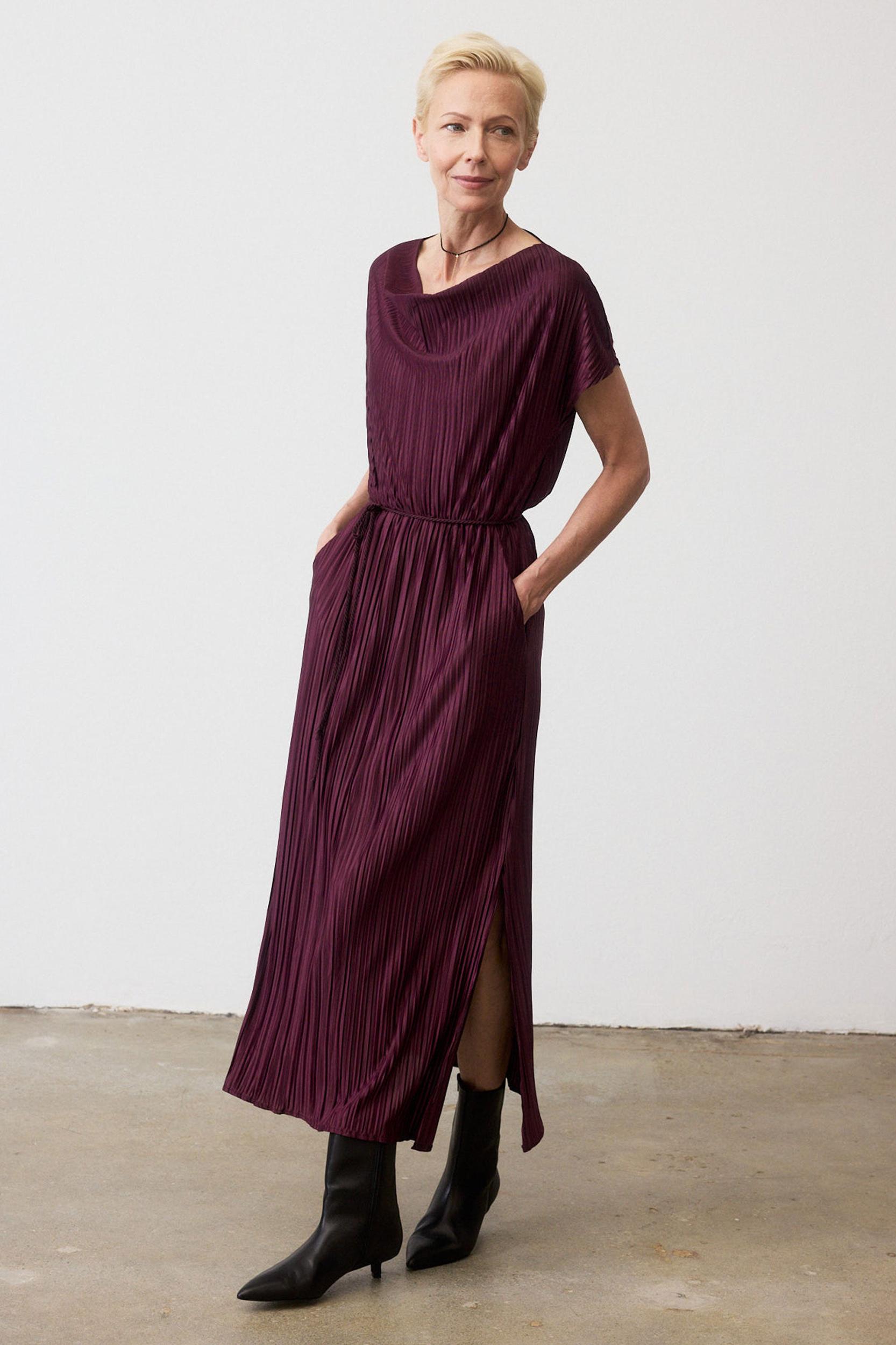Draped Pleated Maxi Dress Product Image