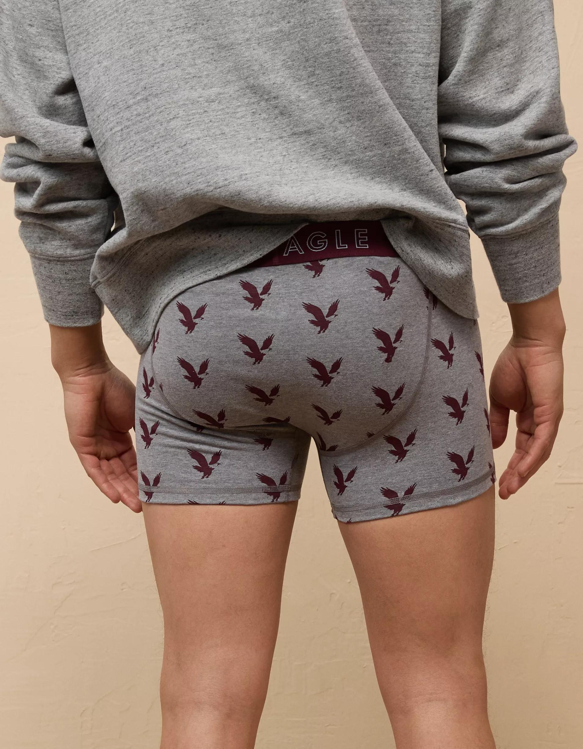 AEO Men's USA 4.5" Classic Boxer Brief Product Image