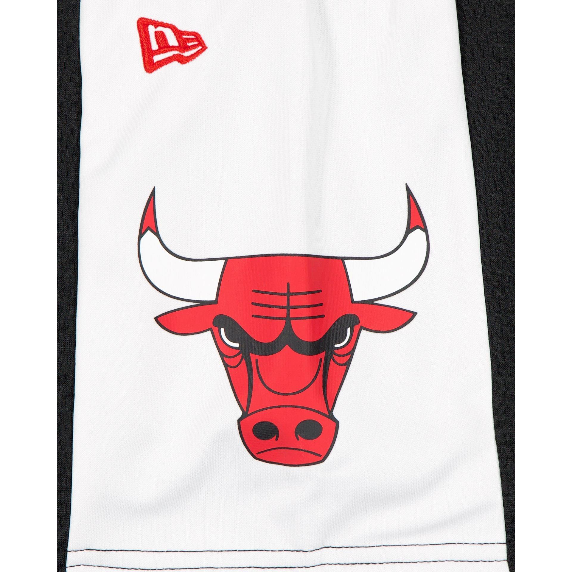 Chicago Bulls Black Graphic Mesh Shorts Male Product Image