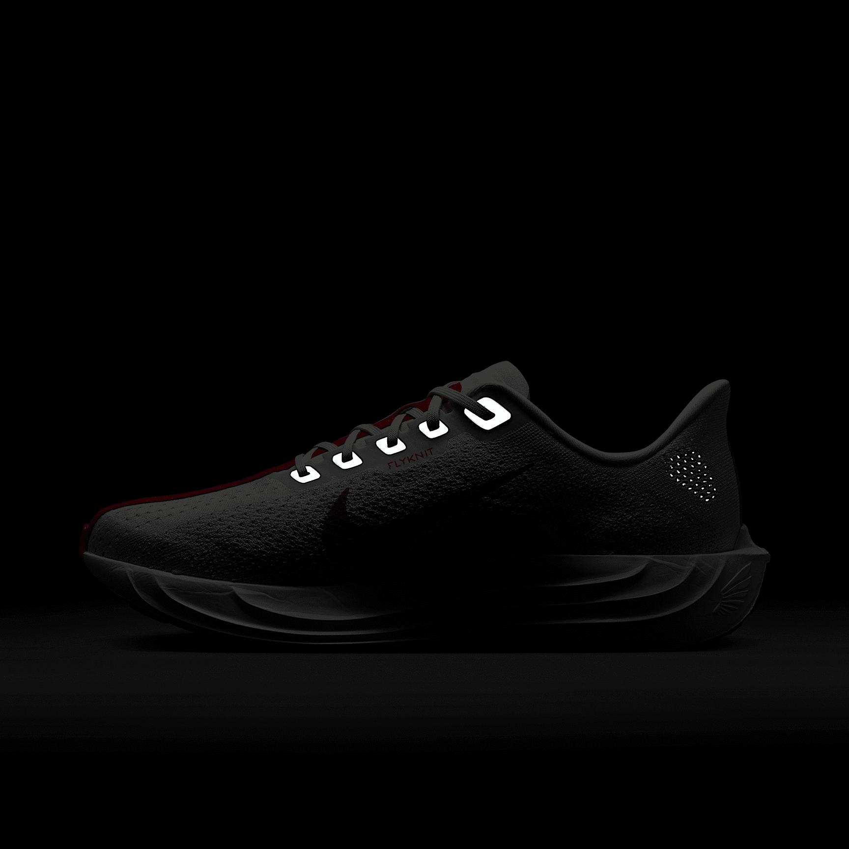 Nike Mens Pegasus Plus Road Running Shoes | FQ7262-003 Product Image