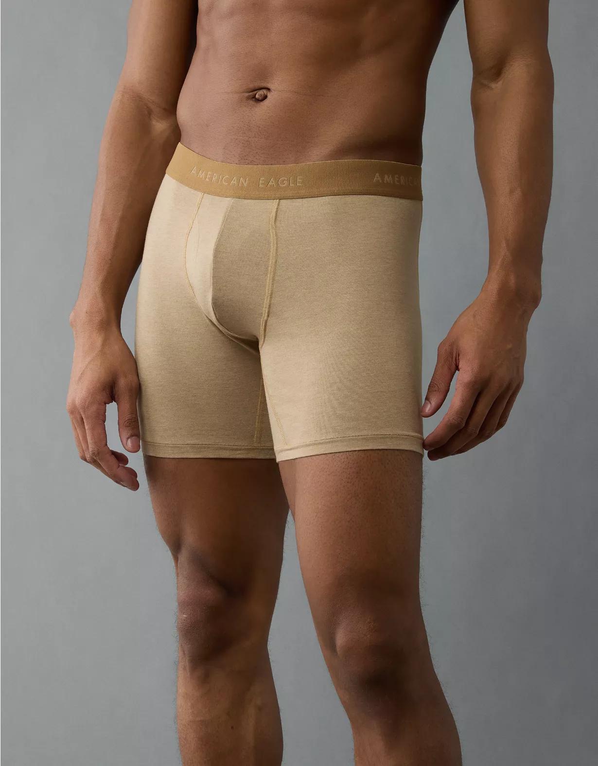AEO Men's 6" Classic Boxer Brief Product Image