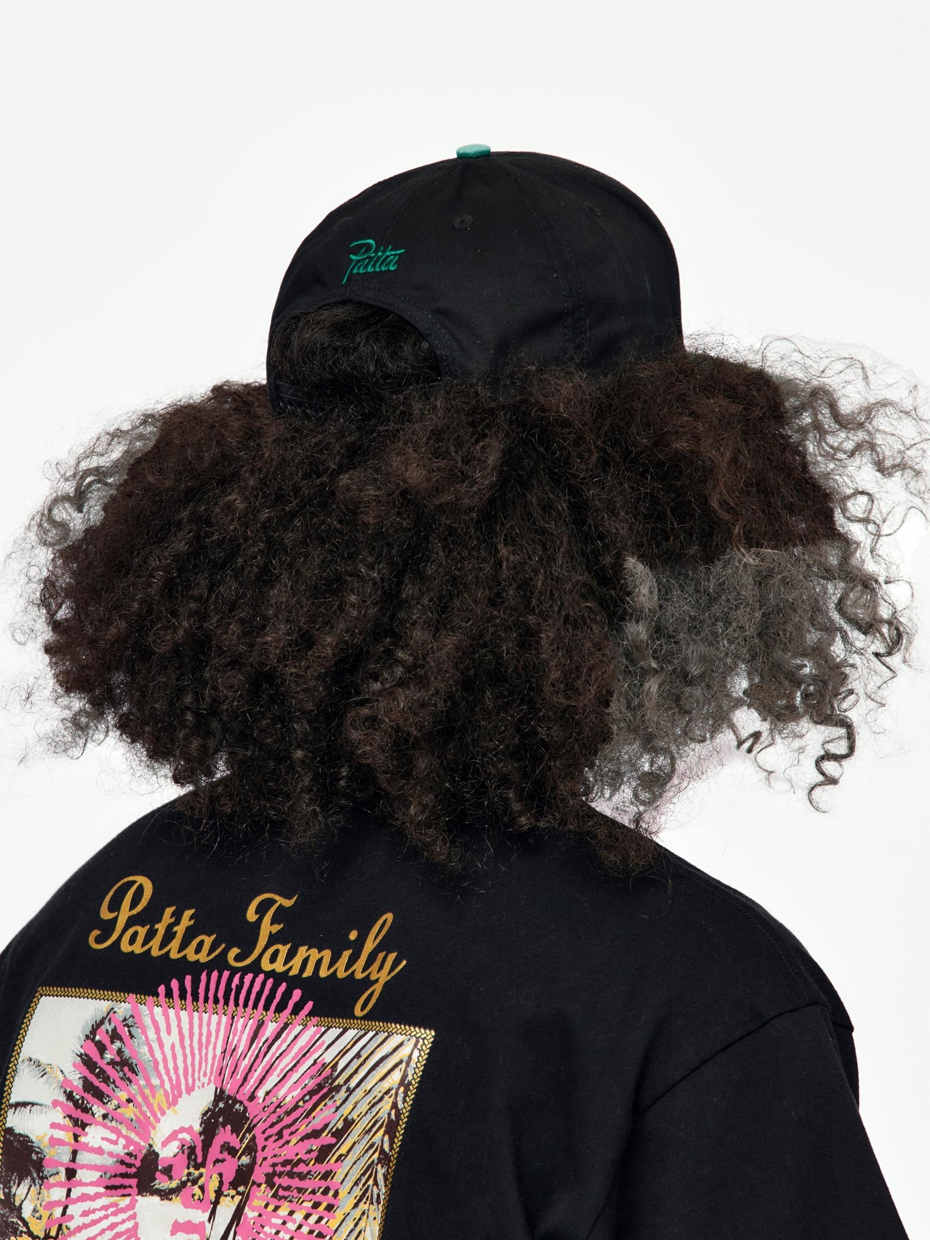 Arc Logo Snapback Cap (Black) Product Image