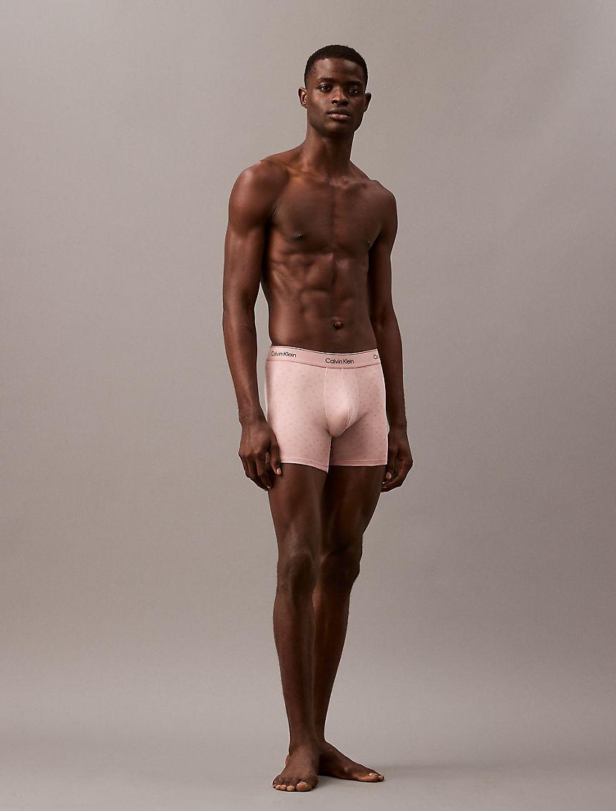 Icon Cotton Stretch V-Day Boxer Brief Product Image