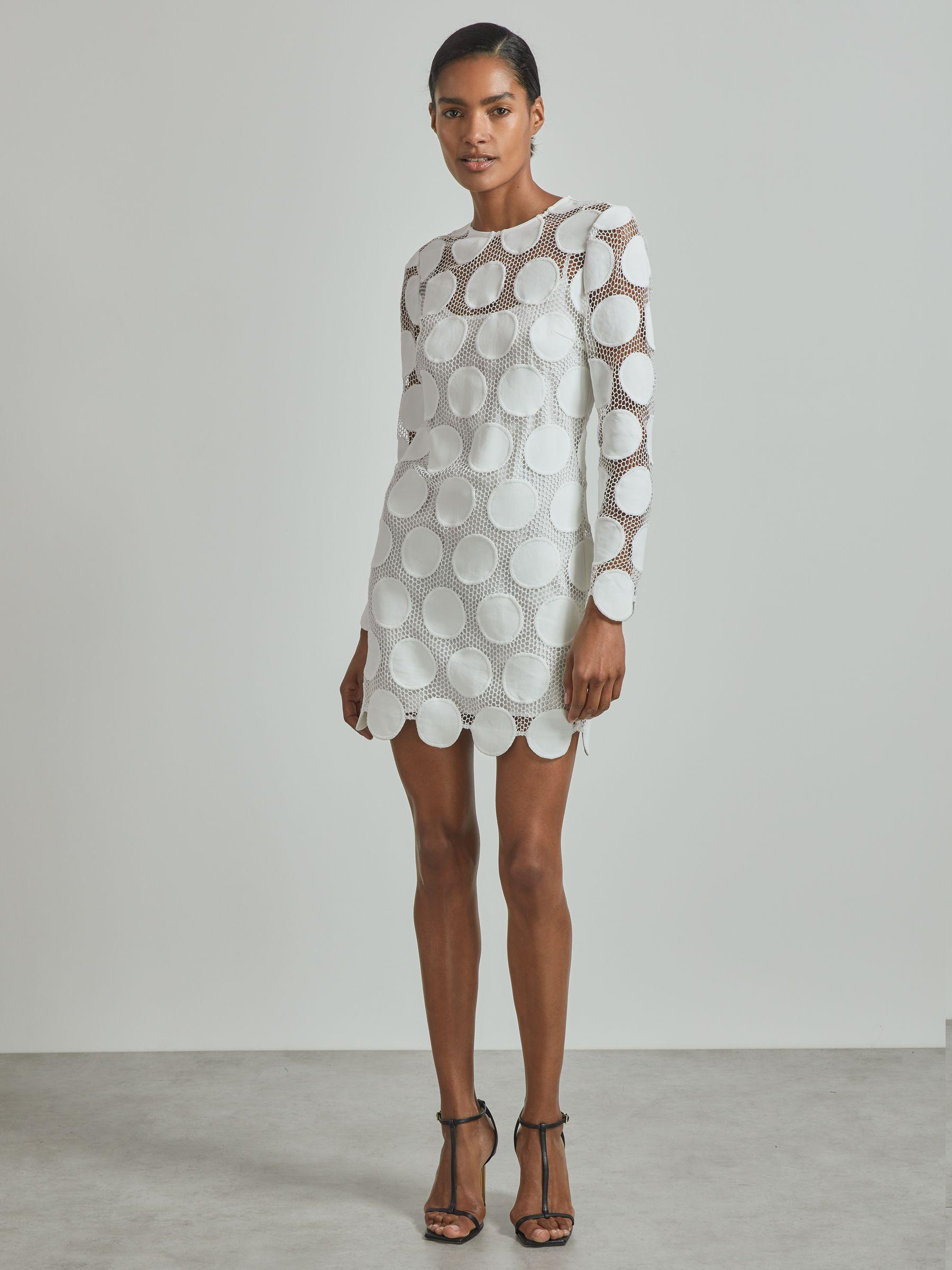 Atelier Sheer Embroidered Mini Dress in Ivory Product Image