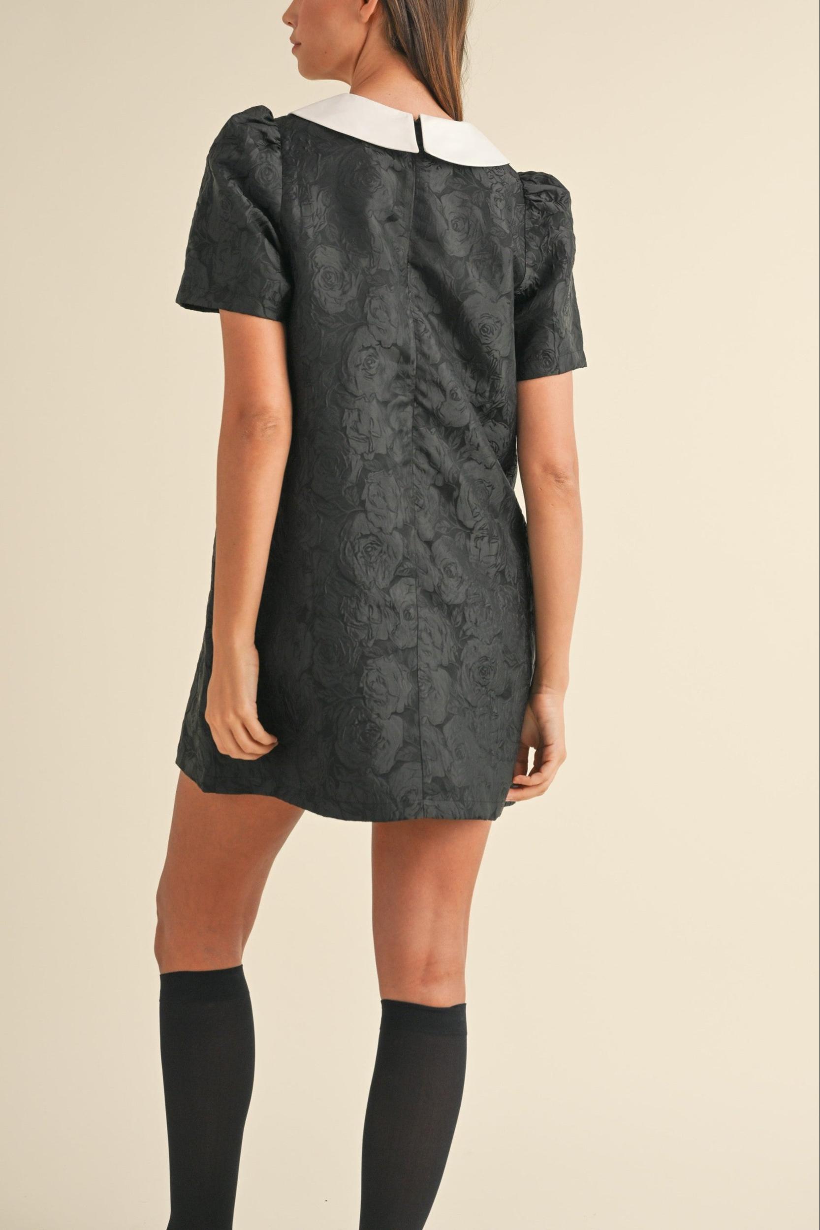 Floral Jacquard Peter Pan Collared Mini Dress Product Image