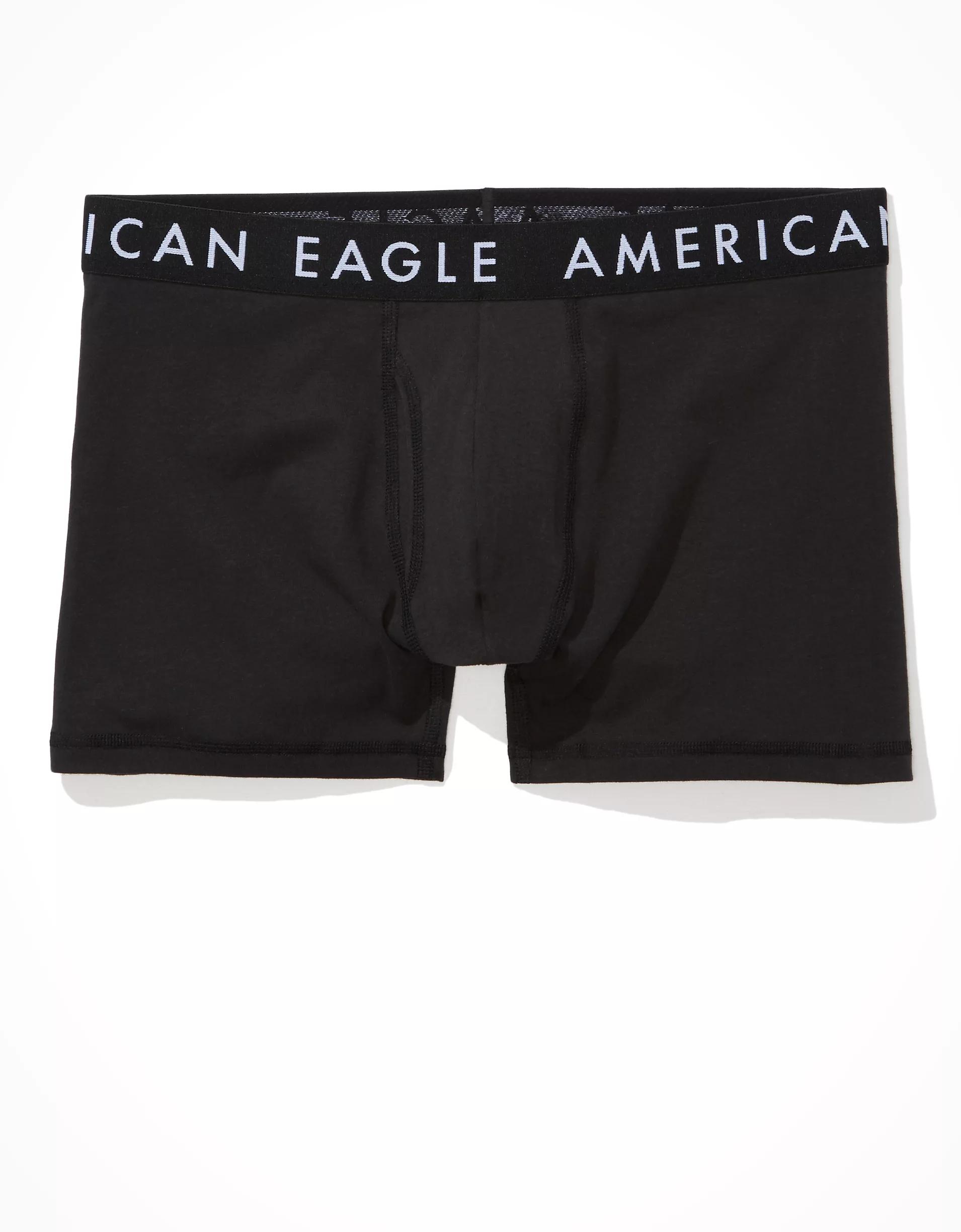 AEO Men's Eggplants 4.5" Classic Boxer Brief Product Image