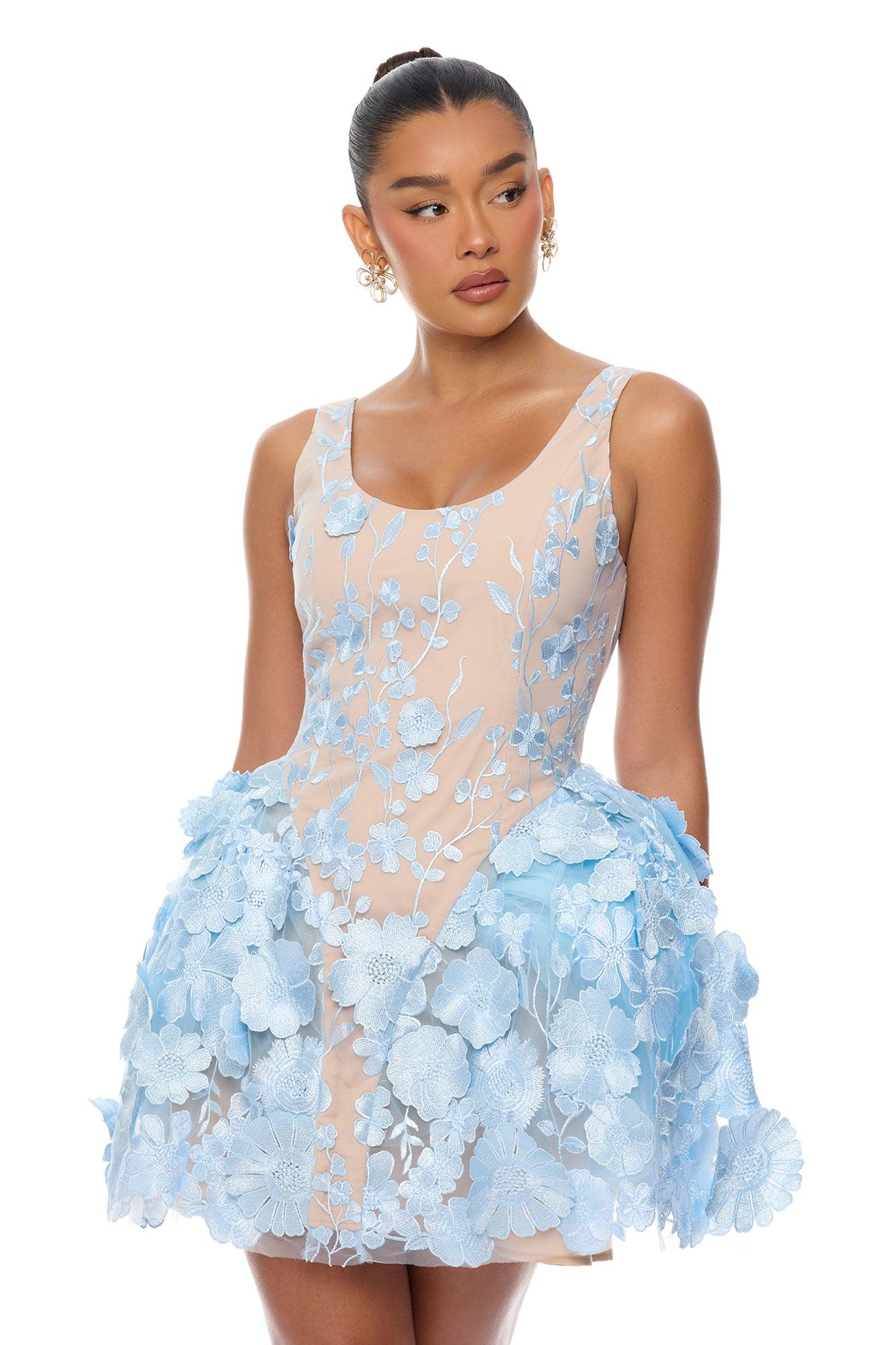 Garden Grace Floral Embroidered Mini Dress - Light Blue Female Product Image