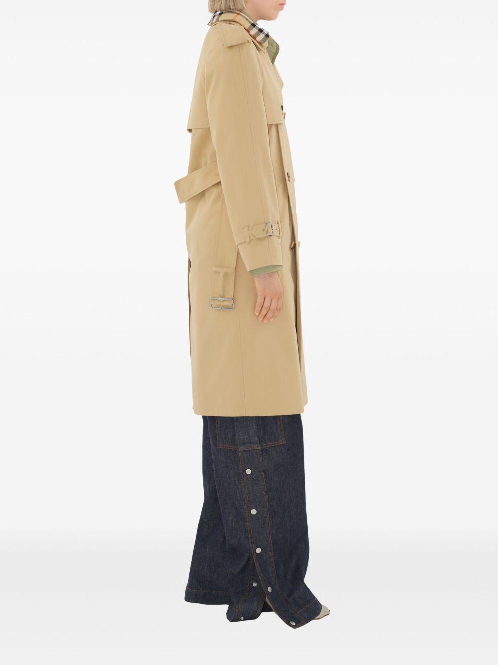 notched-lapel cotton trench coat  Product Image