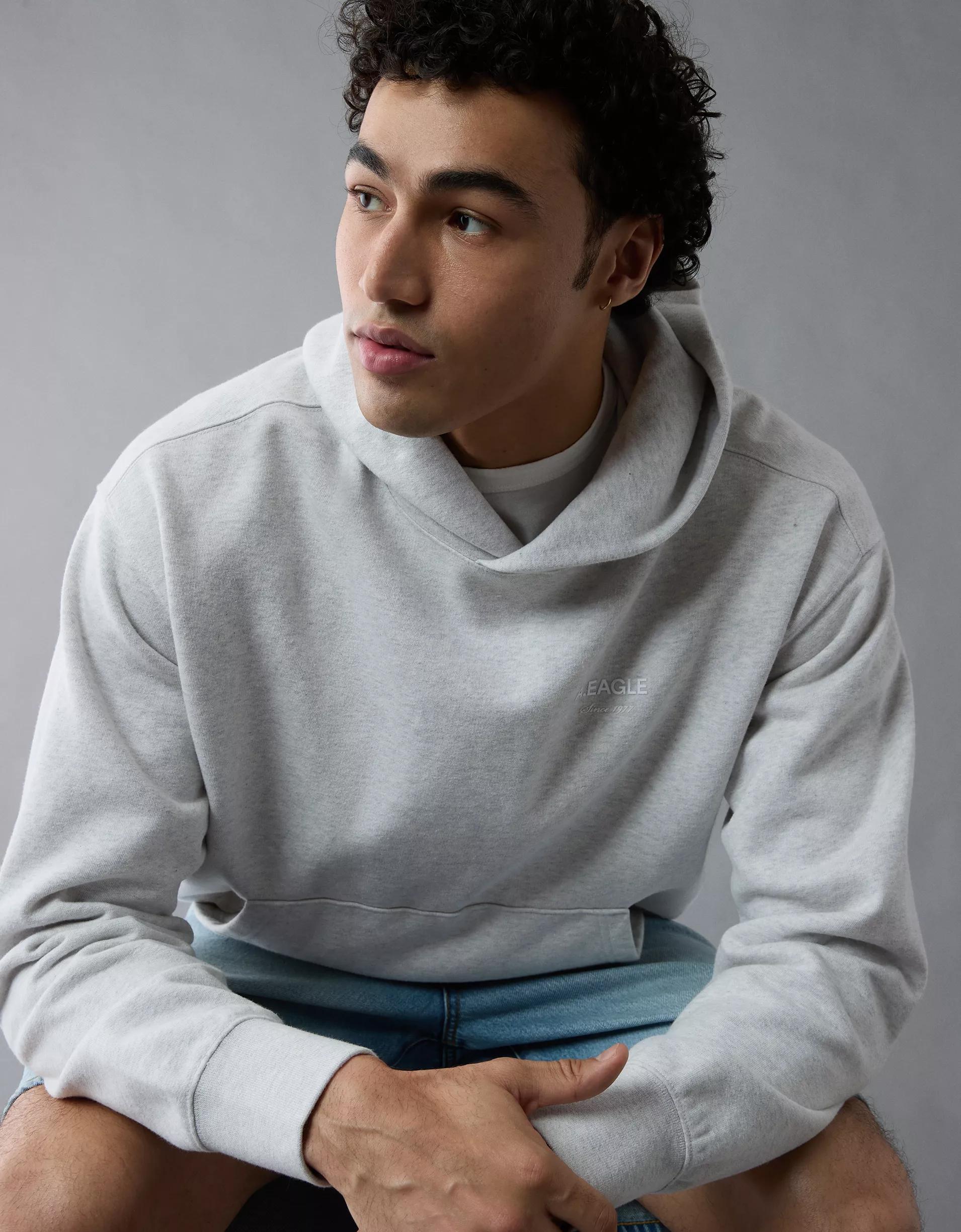 AE Laidback Luxe Heavyweight Logo Hoodie Product Image