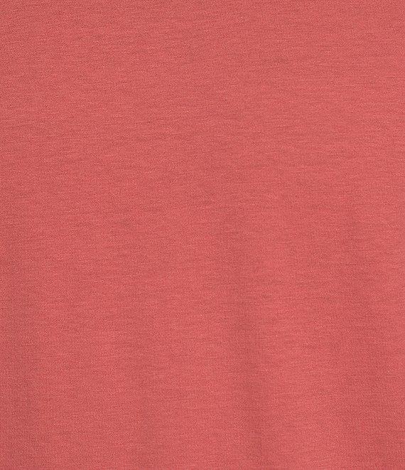 Roundtree & Yorke Big & Tall Solid Cloud Short Sleeve V-Neck T-Shirt Product Image