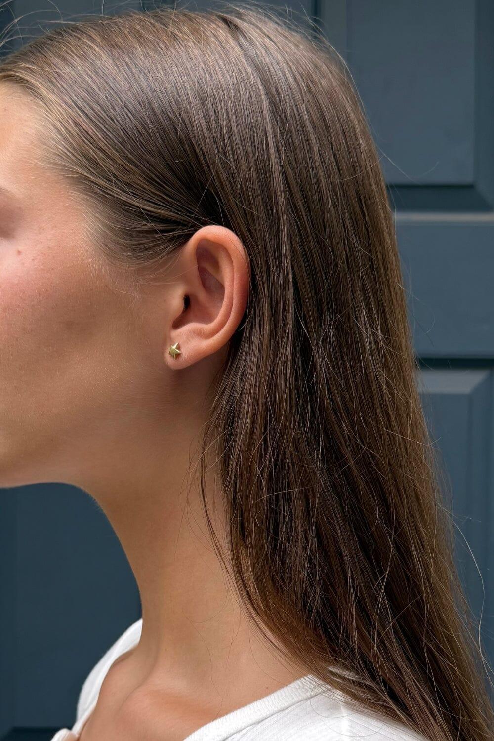 Star Earrings Product Image