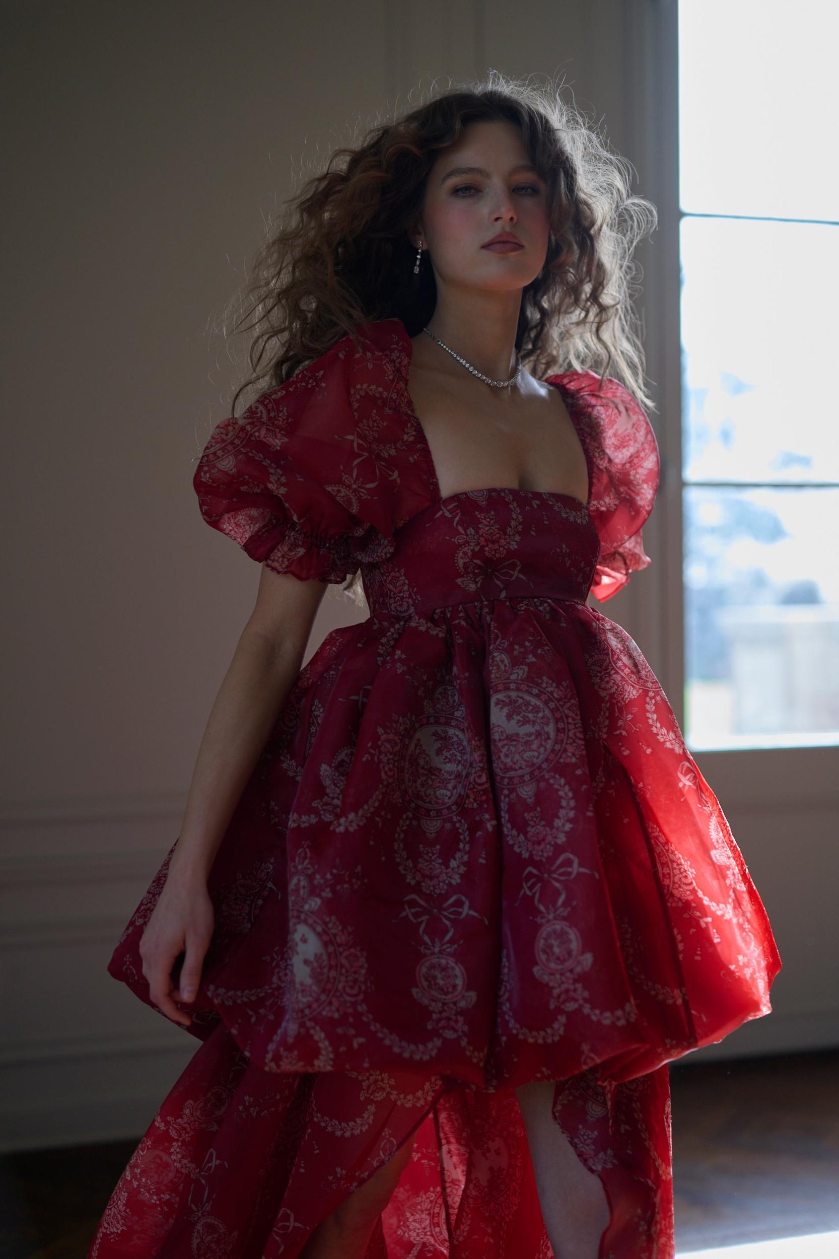 The Ornament Fairytale Gown Product Image