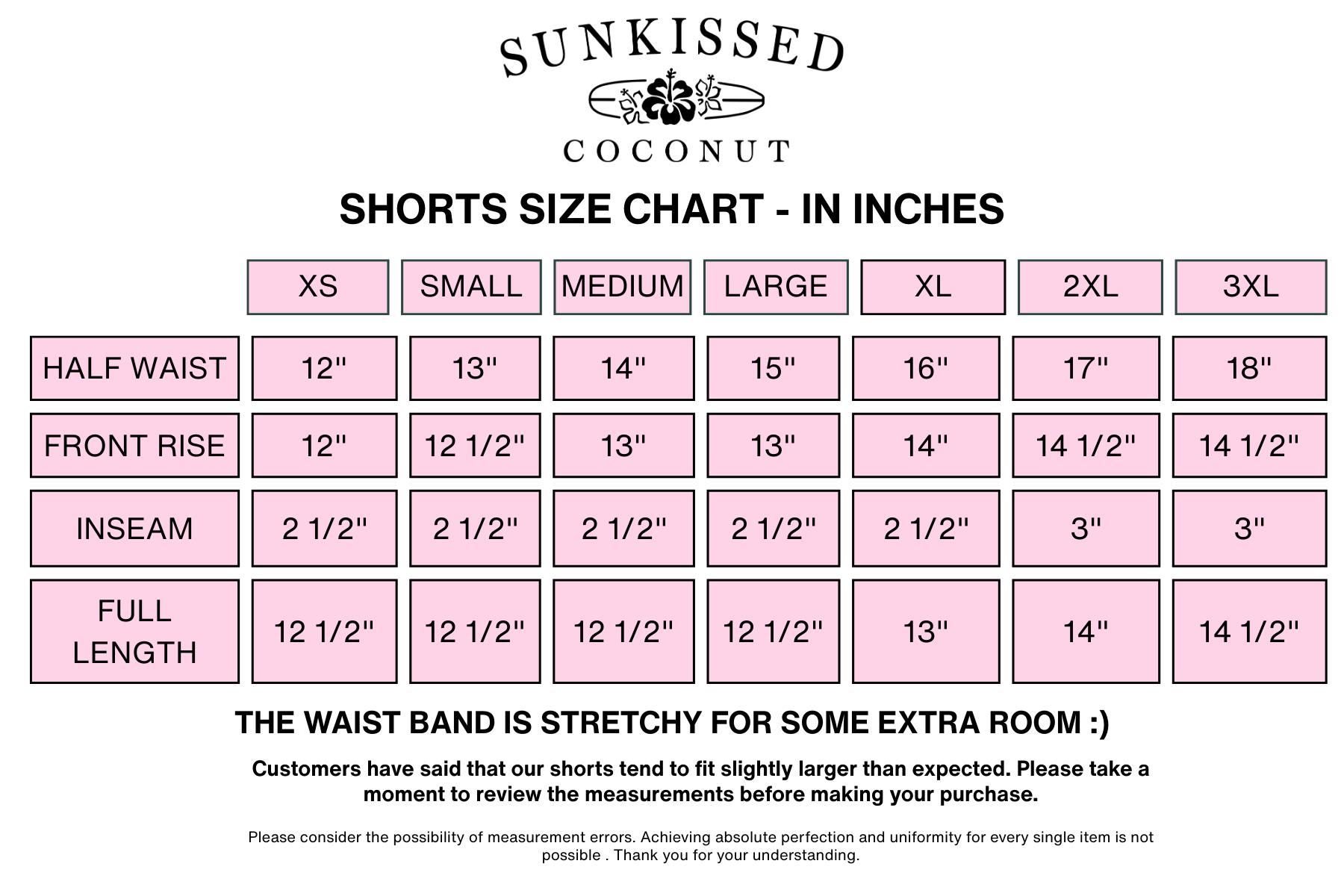 Dark Navy Blue and White Big Striped Shorts Product Image