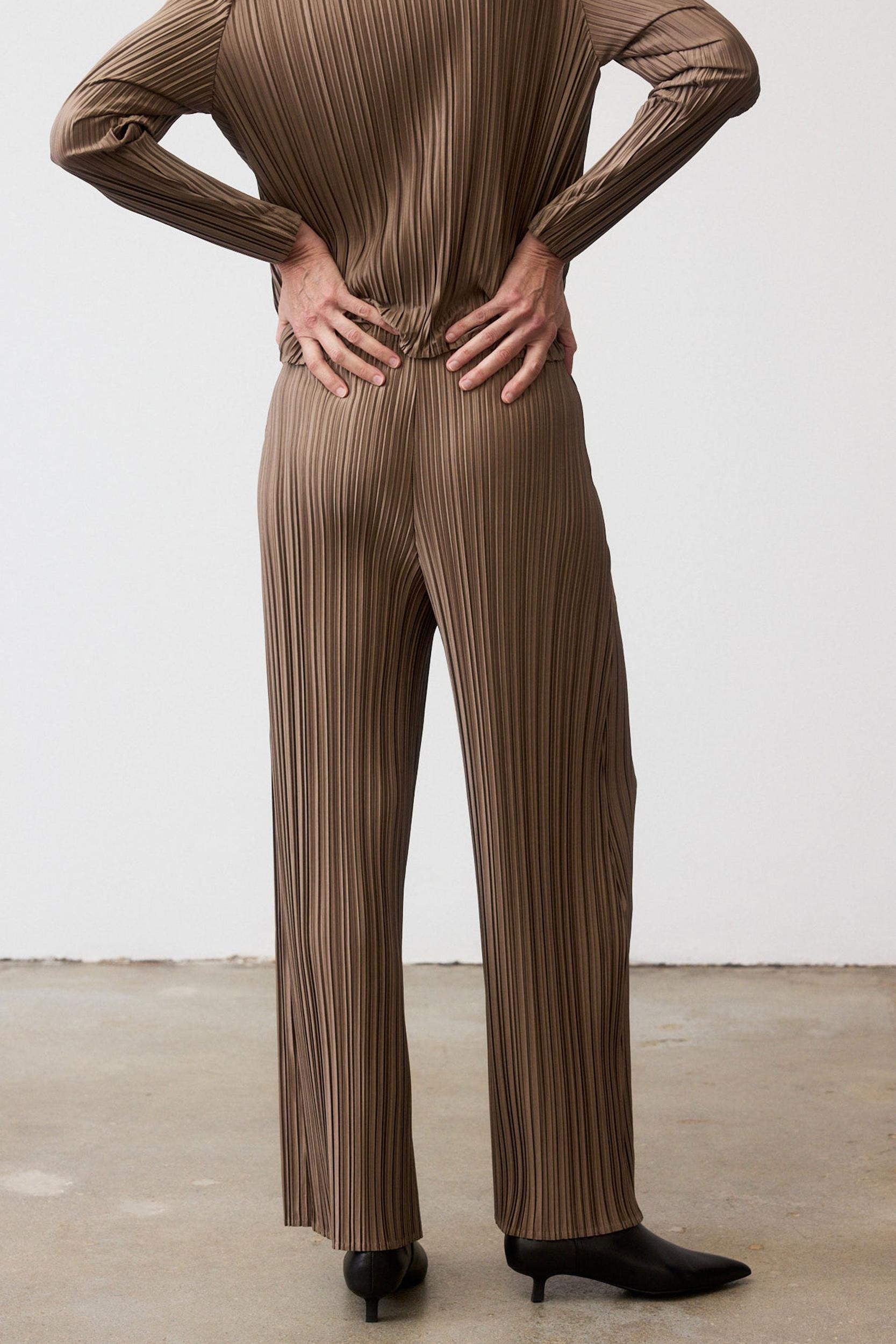 Relaxed Pleated Pants Product Image
