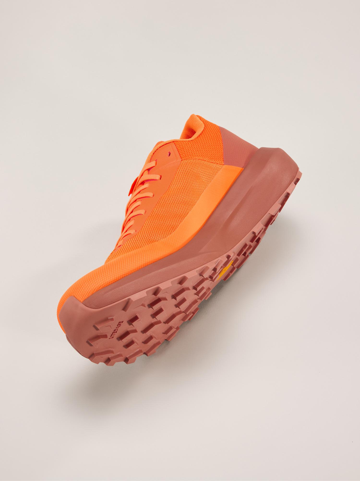 Norvan LD 4 Shoe Men's Product Image