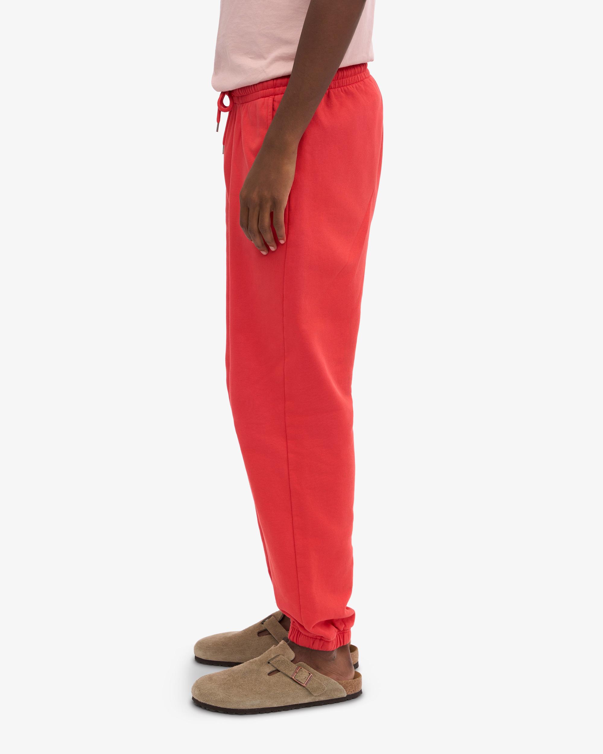 Organic Sweatpants - Hunter Green Product Image