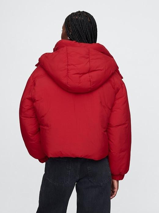 Cropped Duvet Wrap Puffer Jacket Product Image