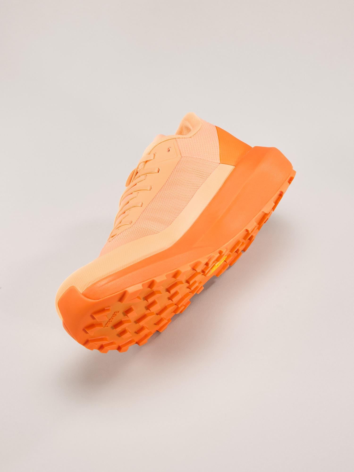 Norvan LD 4 Shoe Women's Product Image