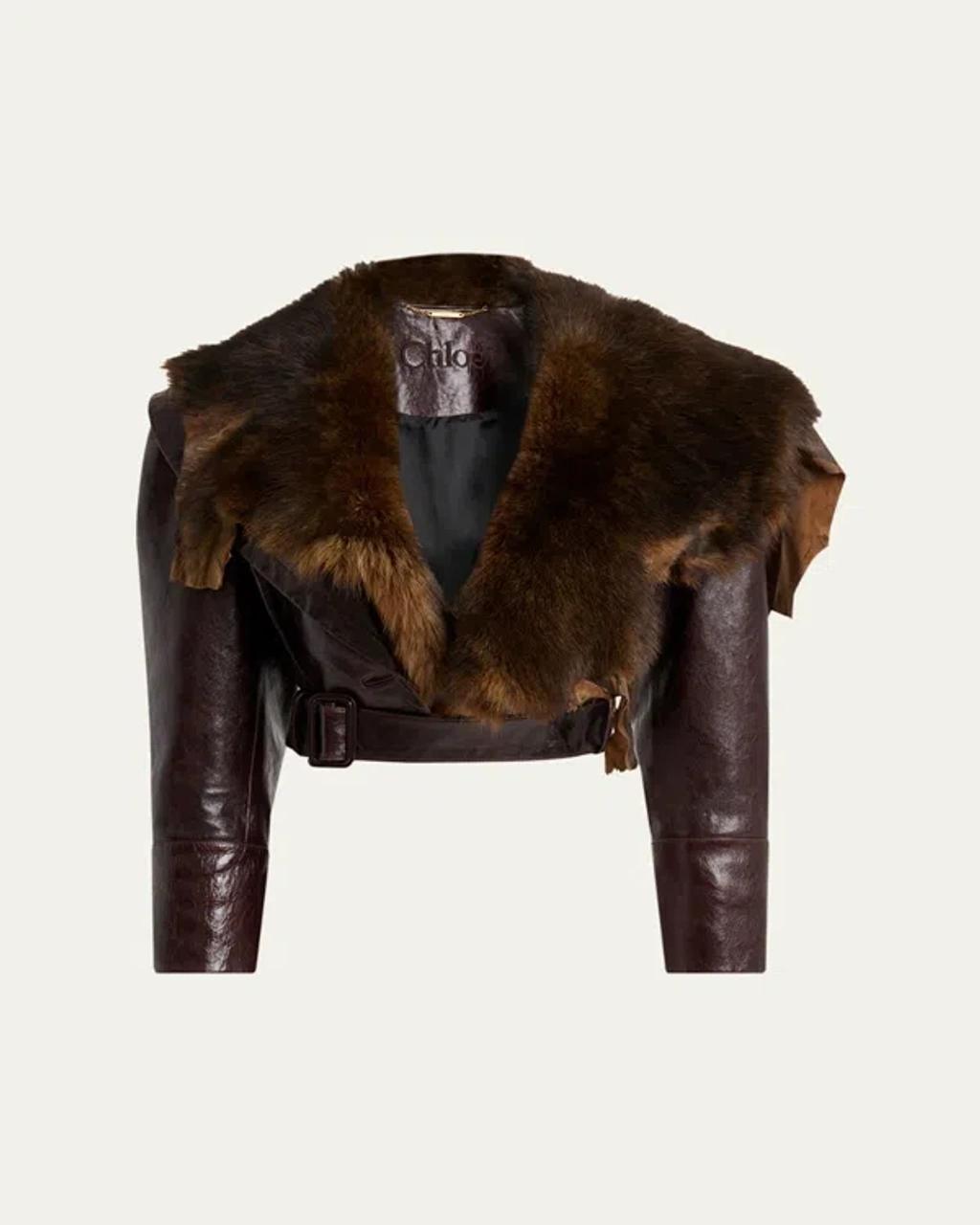 CHLOÉ Shiny Leather Crop Moto Jacket With Removable Lamb Shearling Collar In Brown Product Image