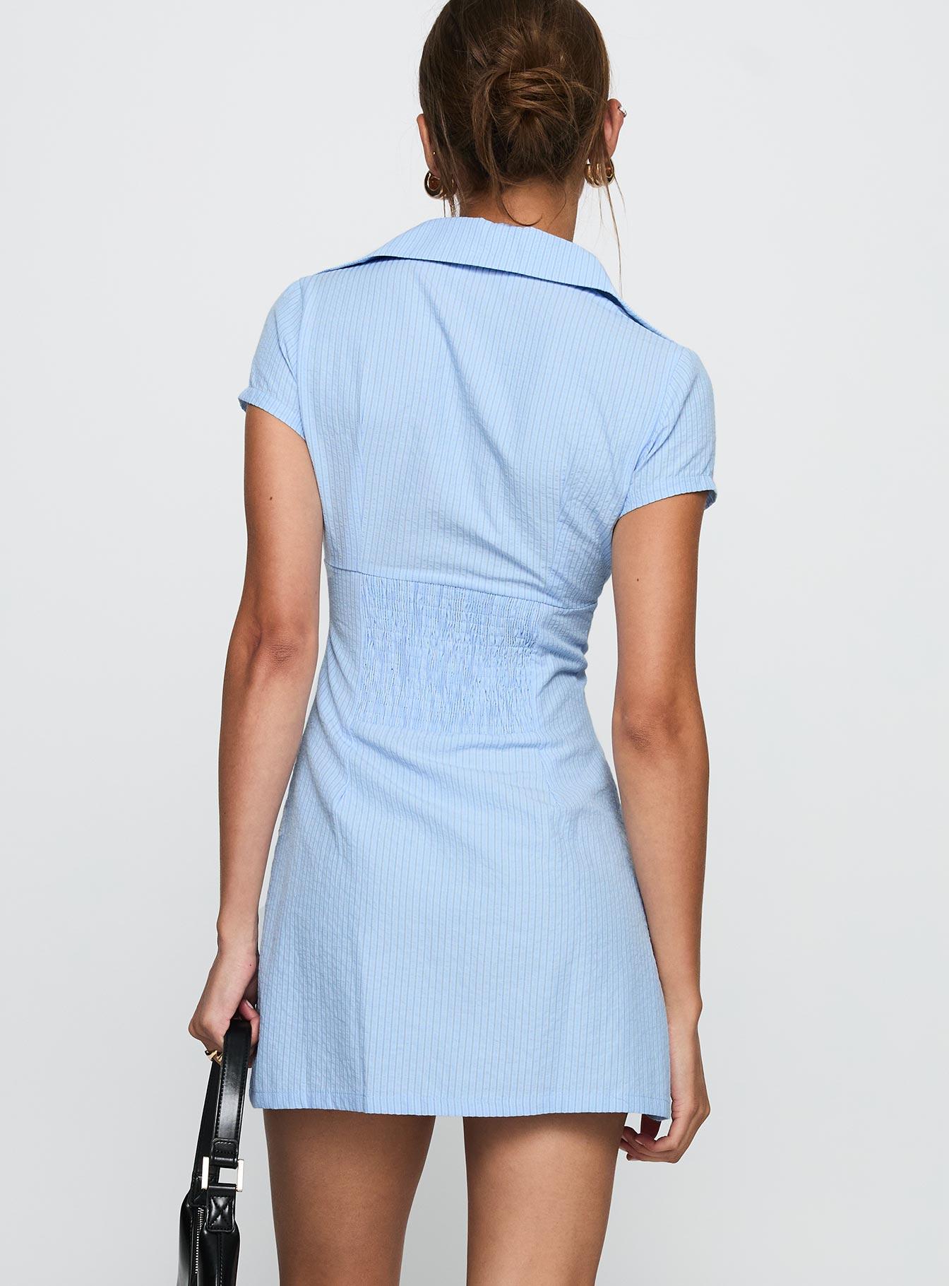 Motley Mini Dress Blue Stripe Product Image