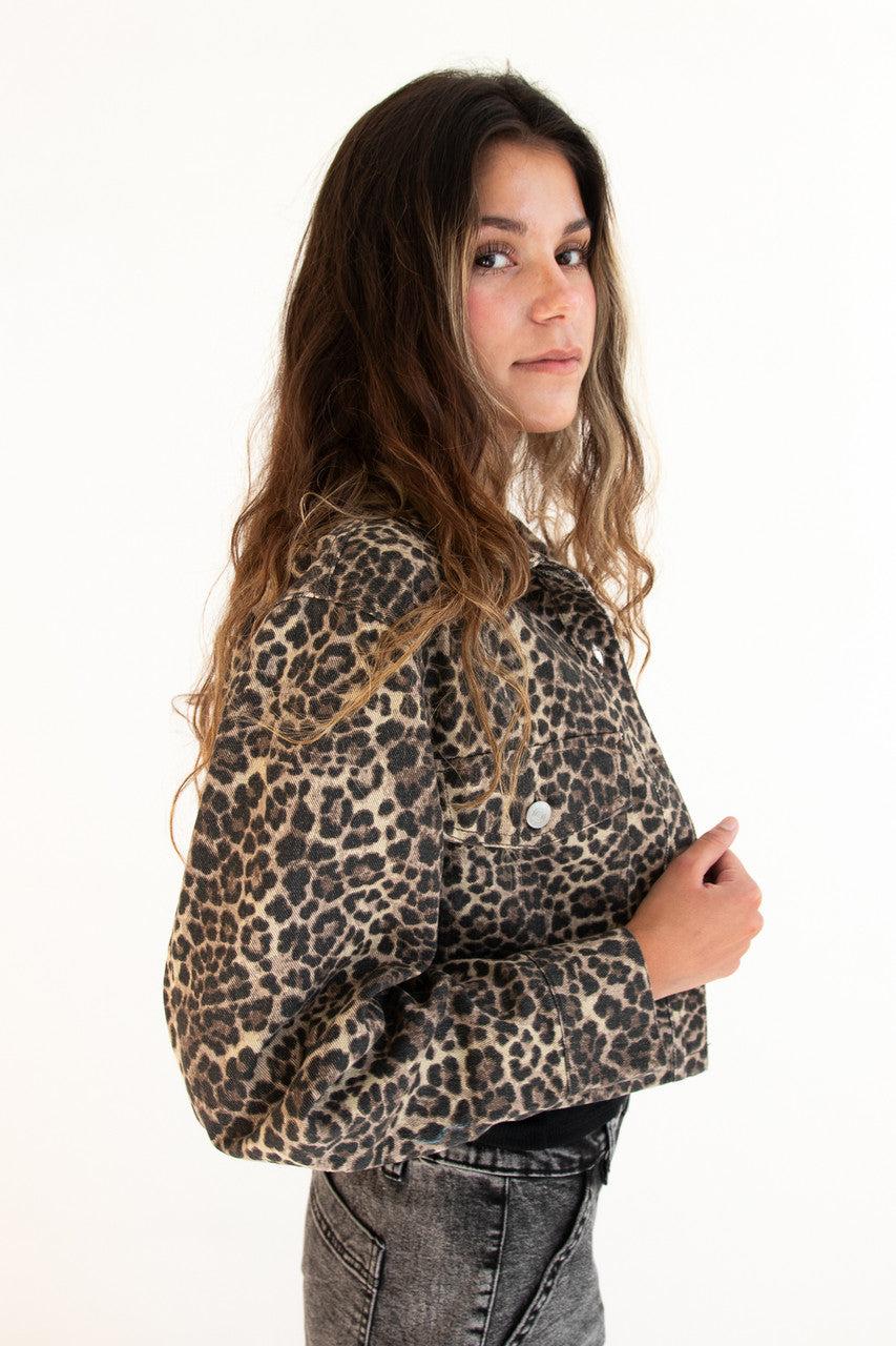 Leopard Cropped Jean Jacket Product Image