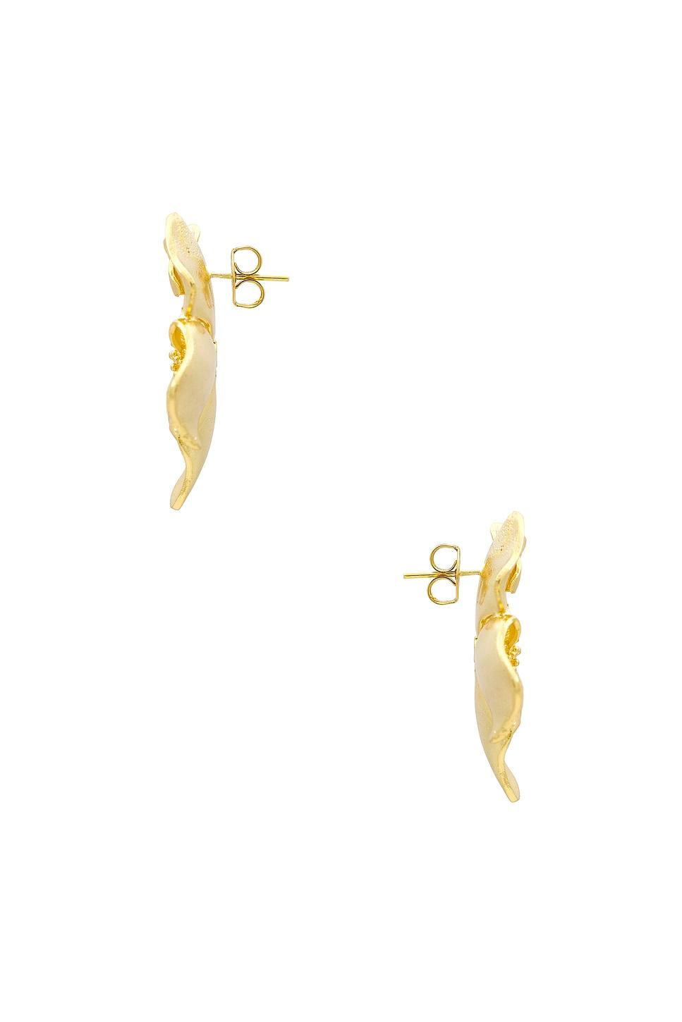 Iys Earring SHASHI Product Image